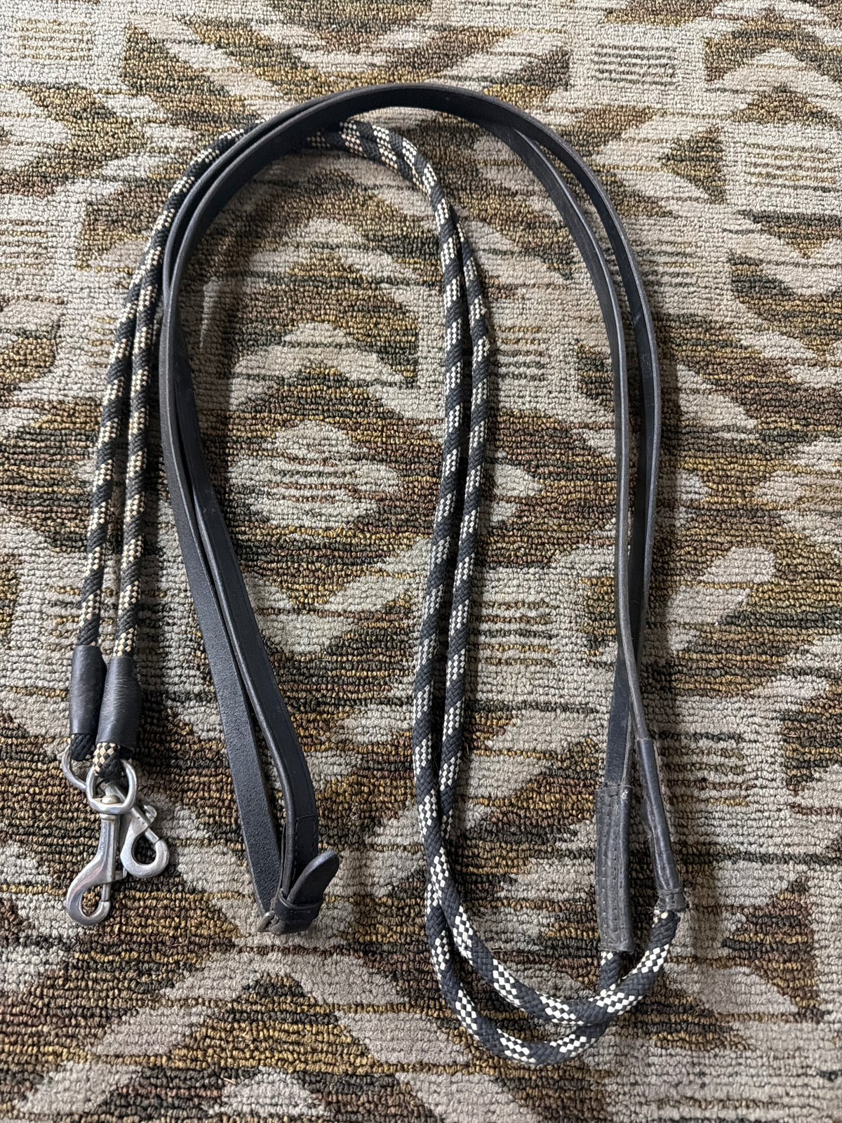 Long Loop Training Reins