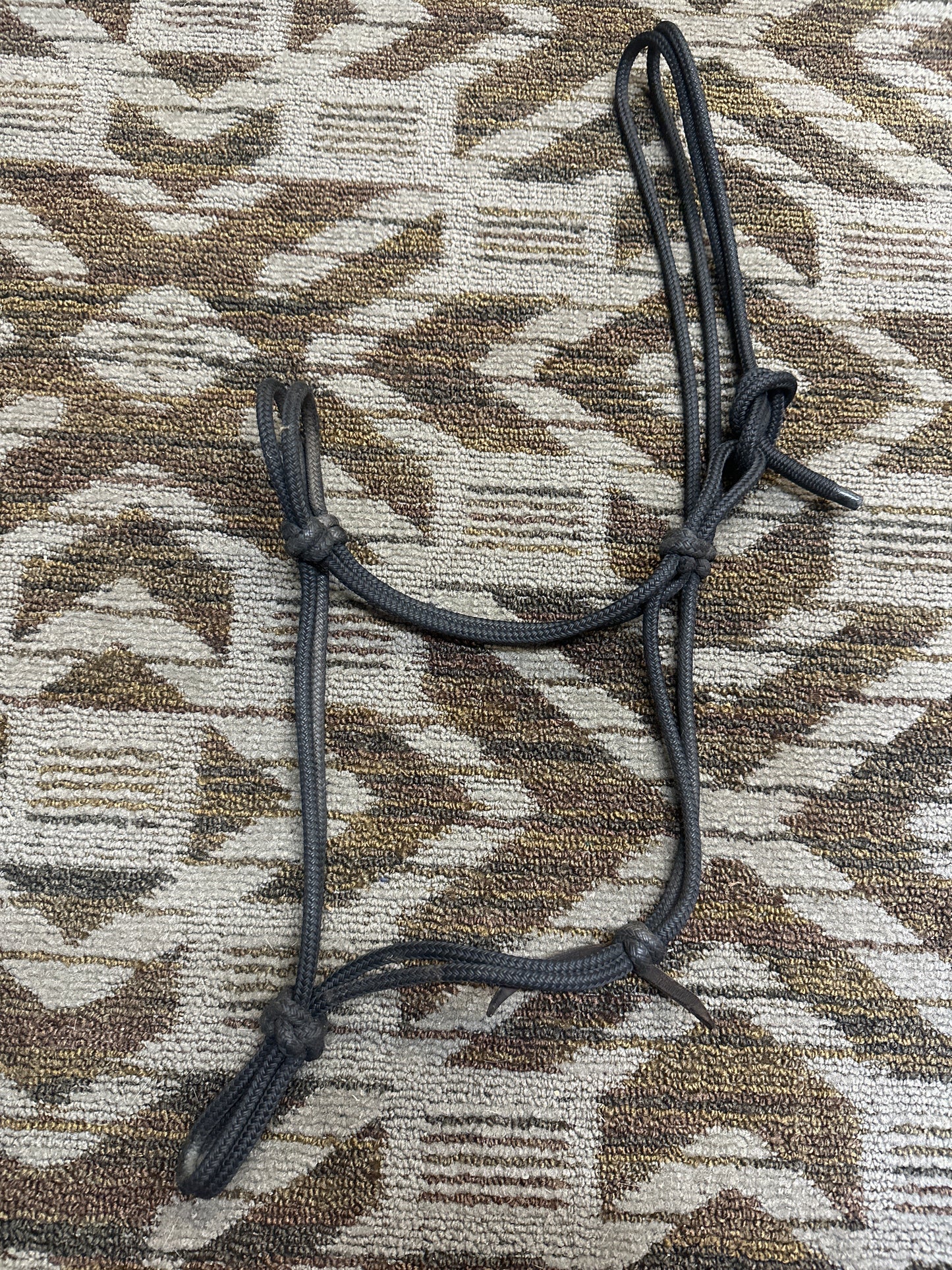 Black Parelli Halter