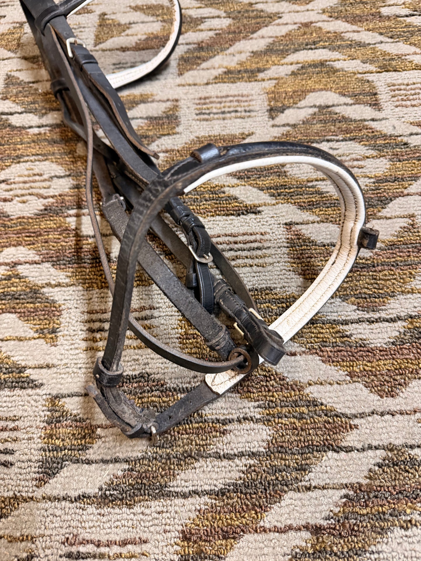 Black and White Bridle