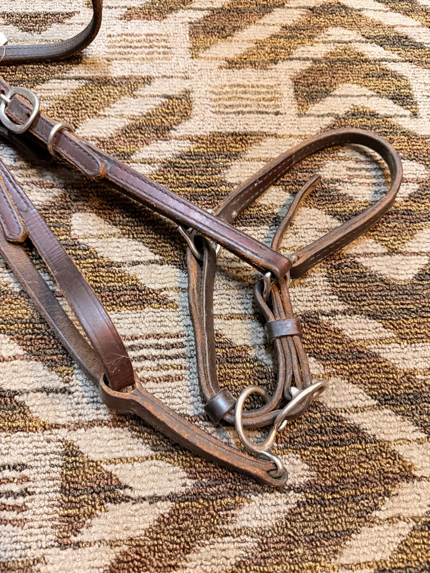 Tucker Halter Bridle