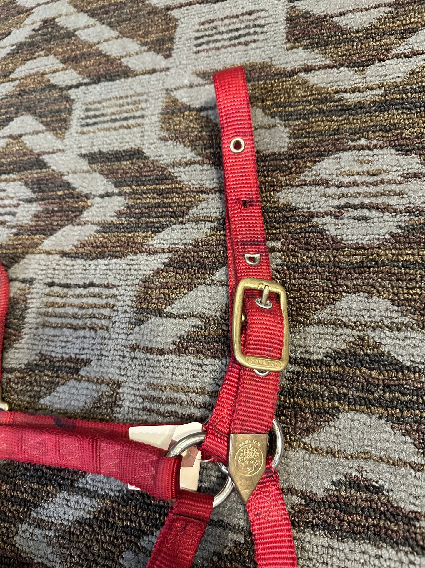 Hamilton Halter