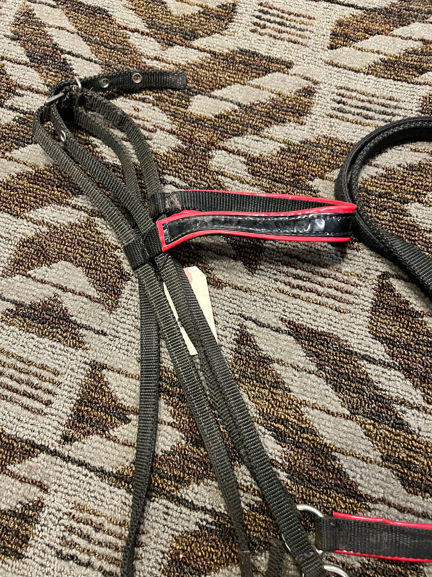 Nylon Arabian Show Halter