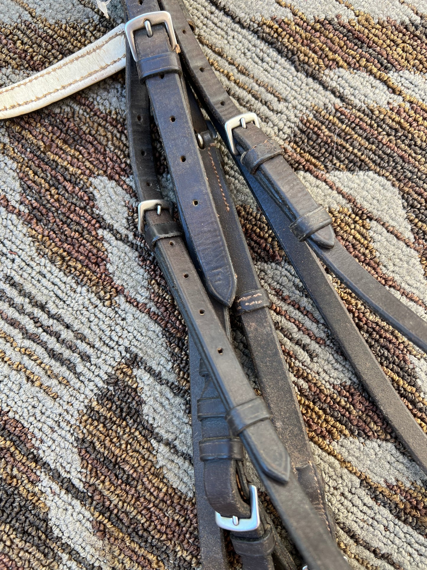 Dark Brown Padded Bridle