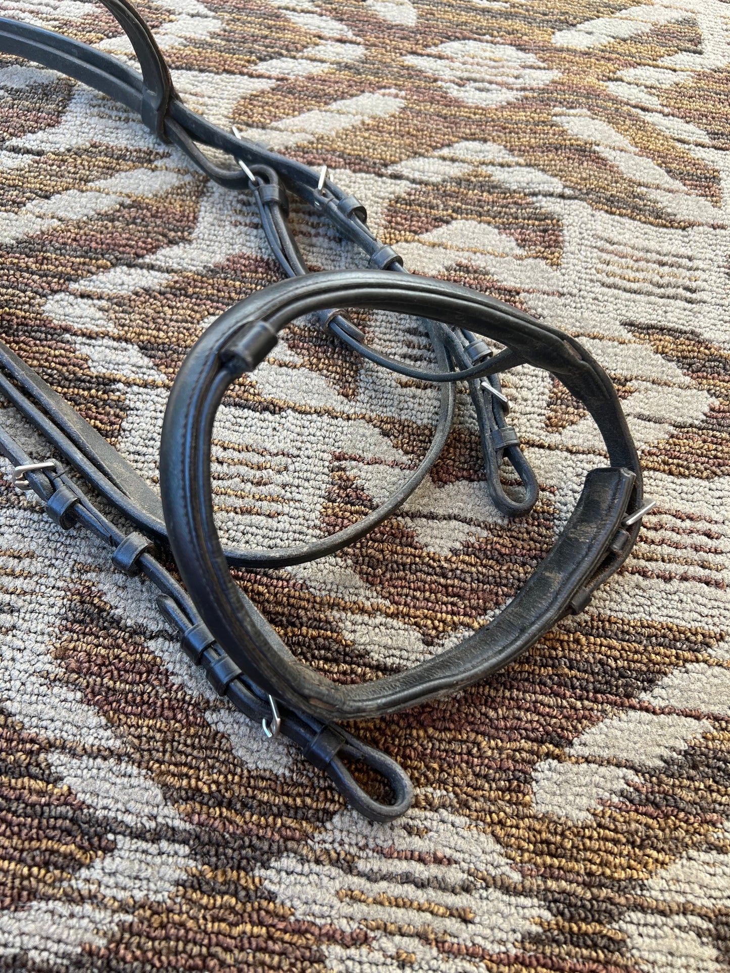 Black Bridle