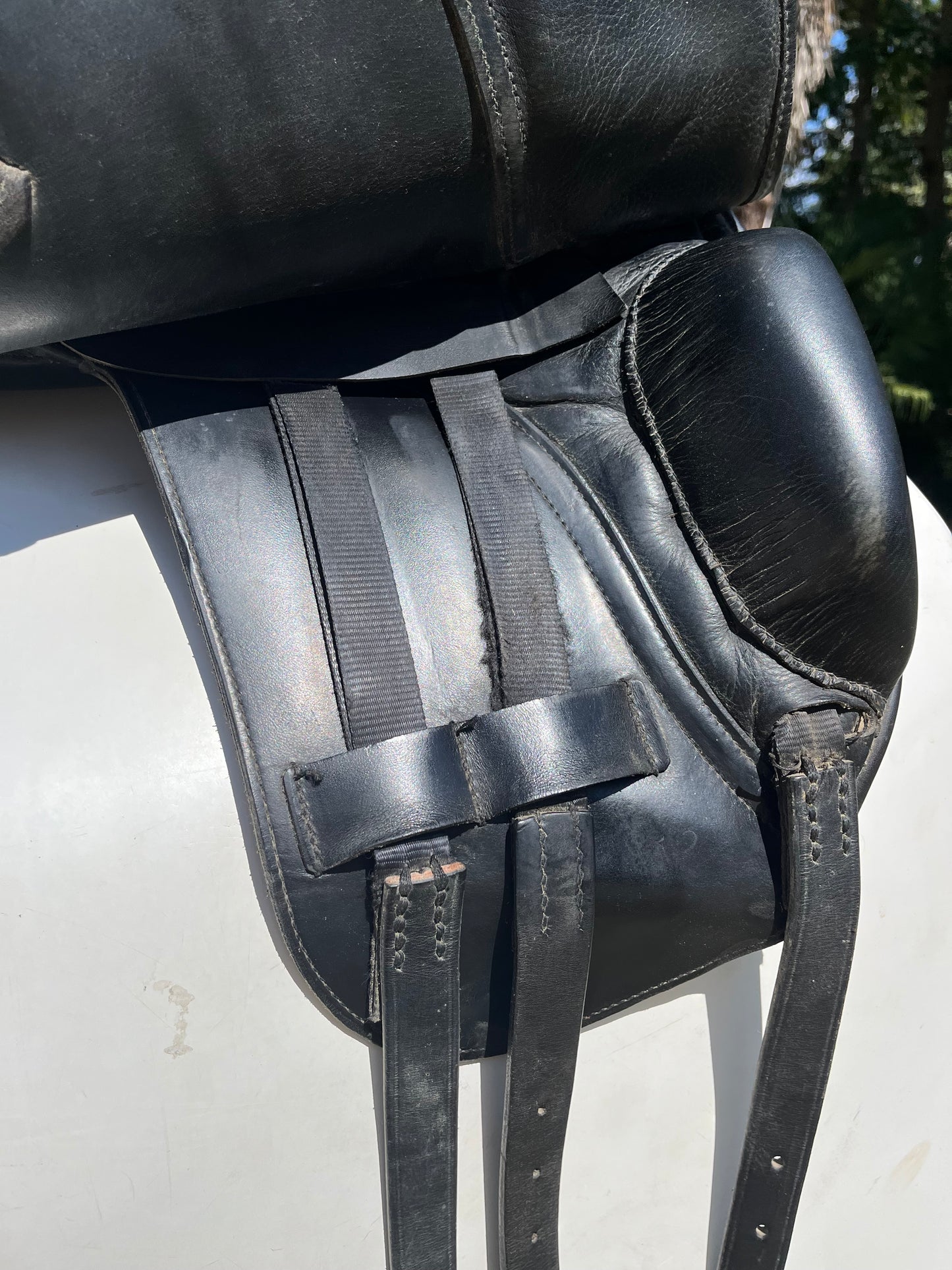 Albion Dressage Saddle