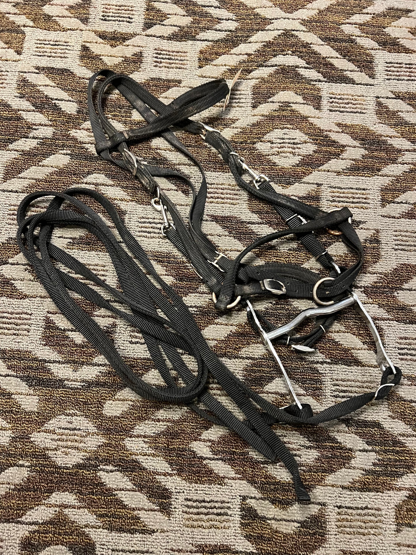 Halter Bridle Set
