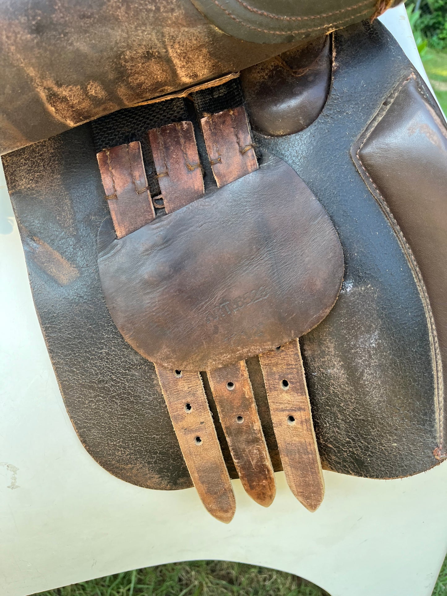 Collegiate All Purpose Saddle