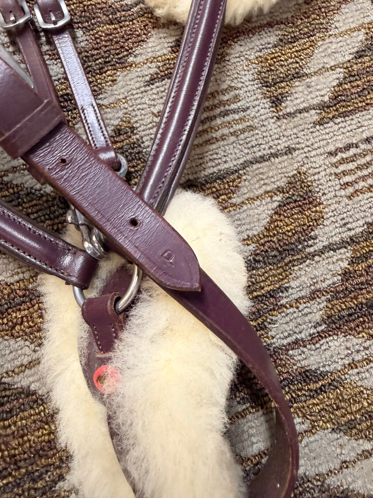 TACKRUS 5 Point Breastplate