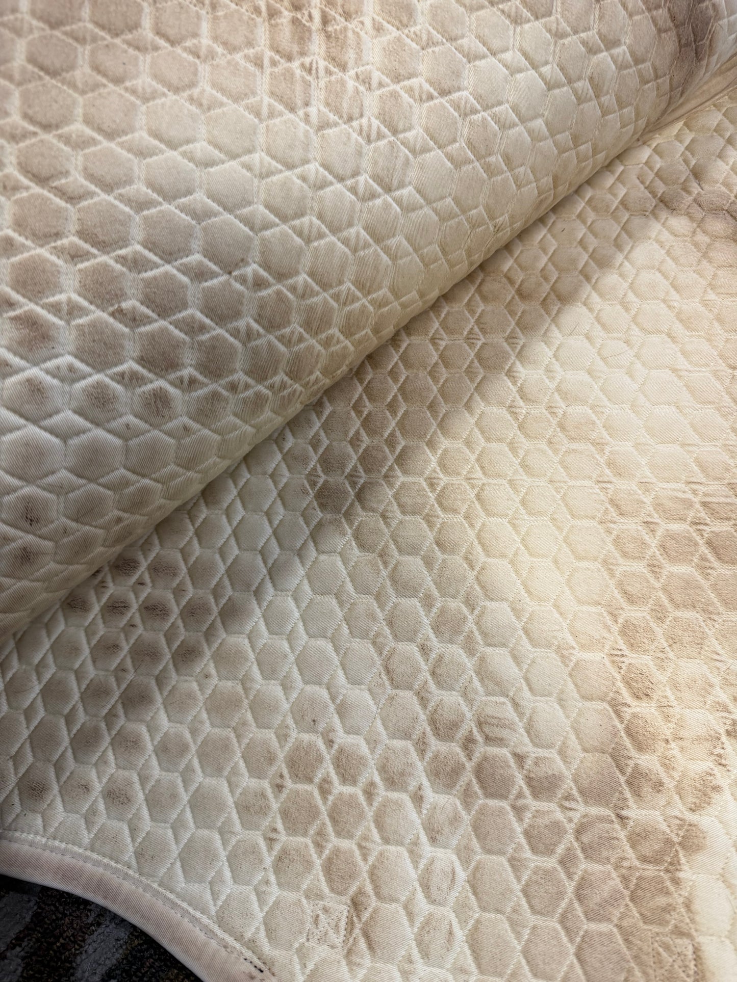 Mattes Dressage Pad