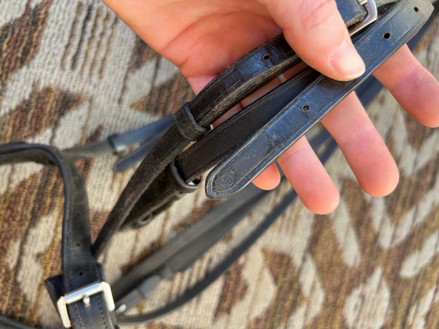 Black Plymouth Dressage Bridle