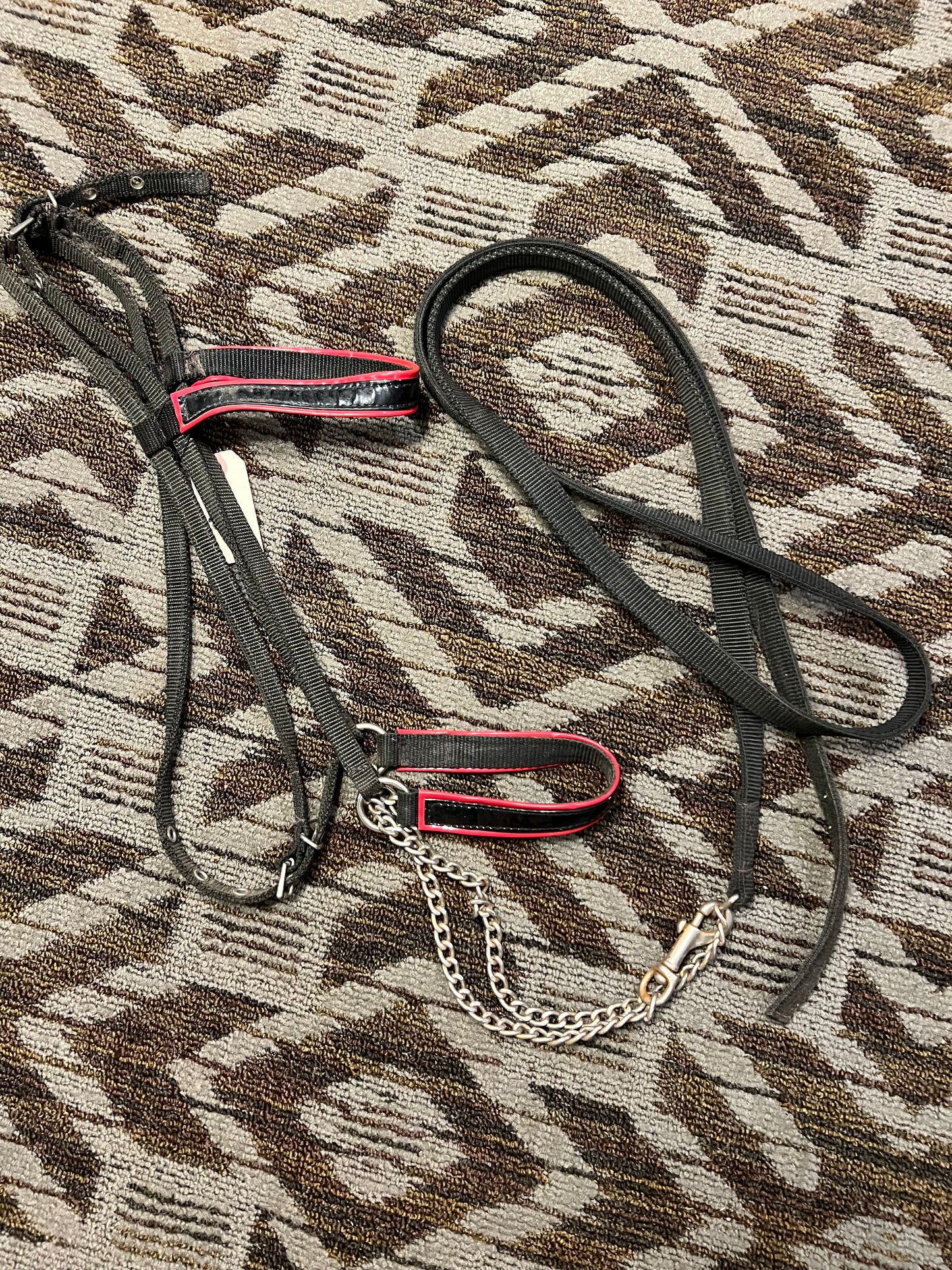 Nylon Arabian Show Halter