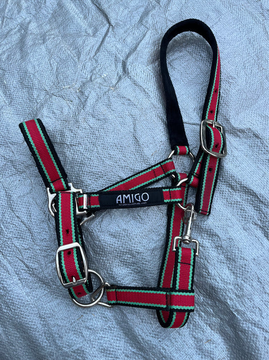 Amigo Red/Green Halter