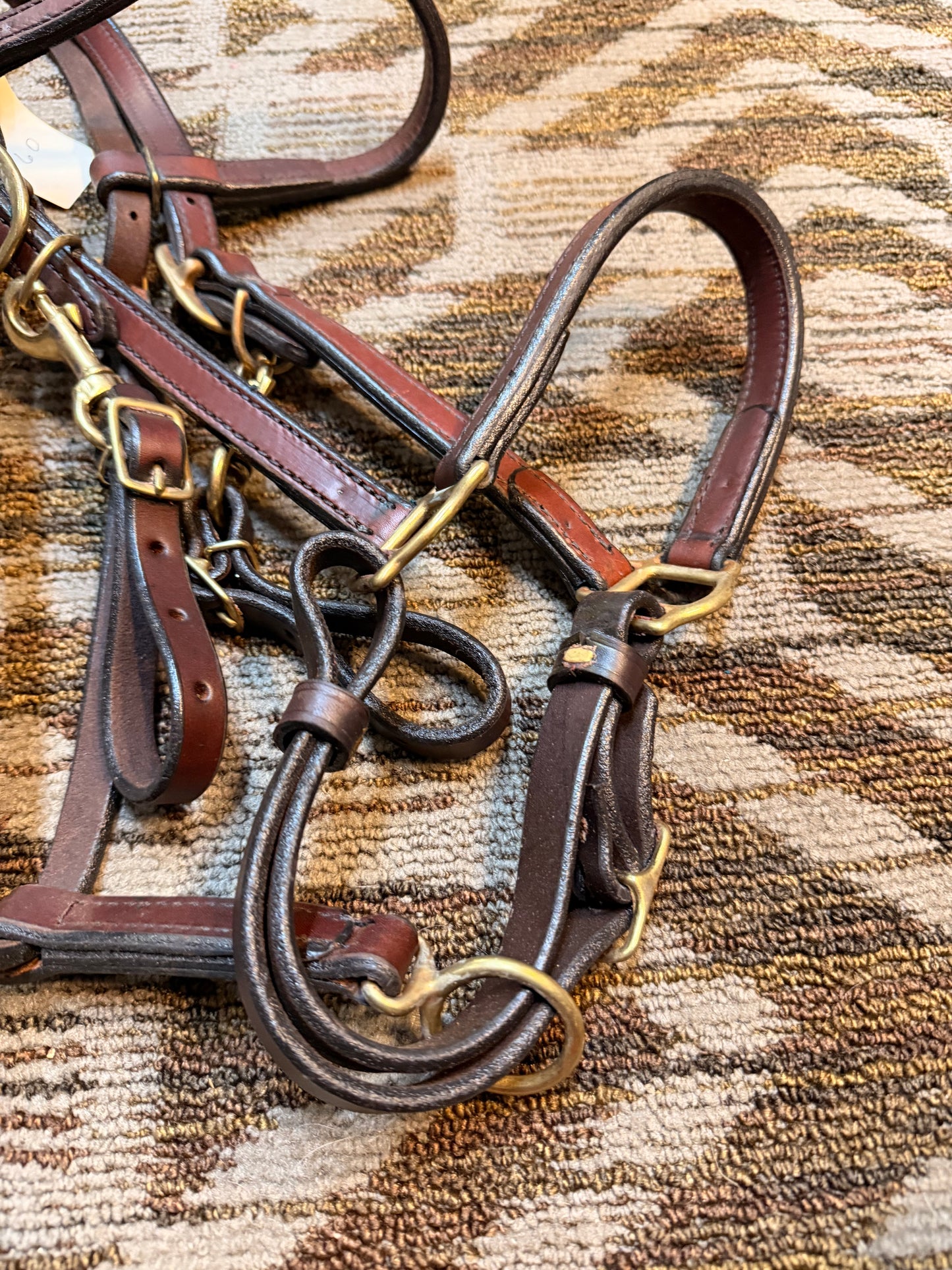 Heavy Duty Leather Halter Bridle