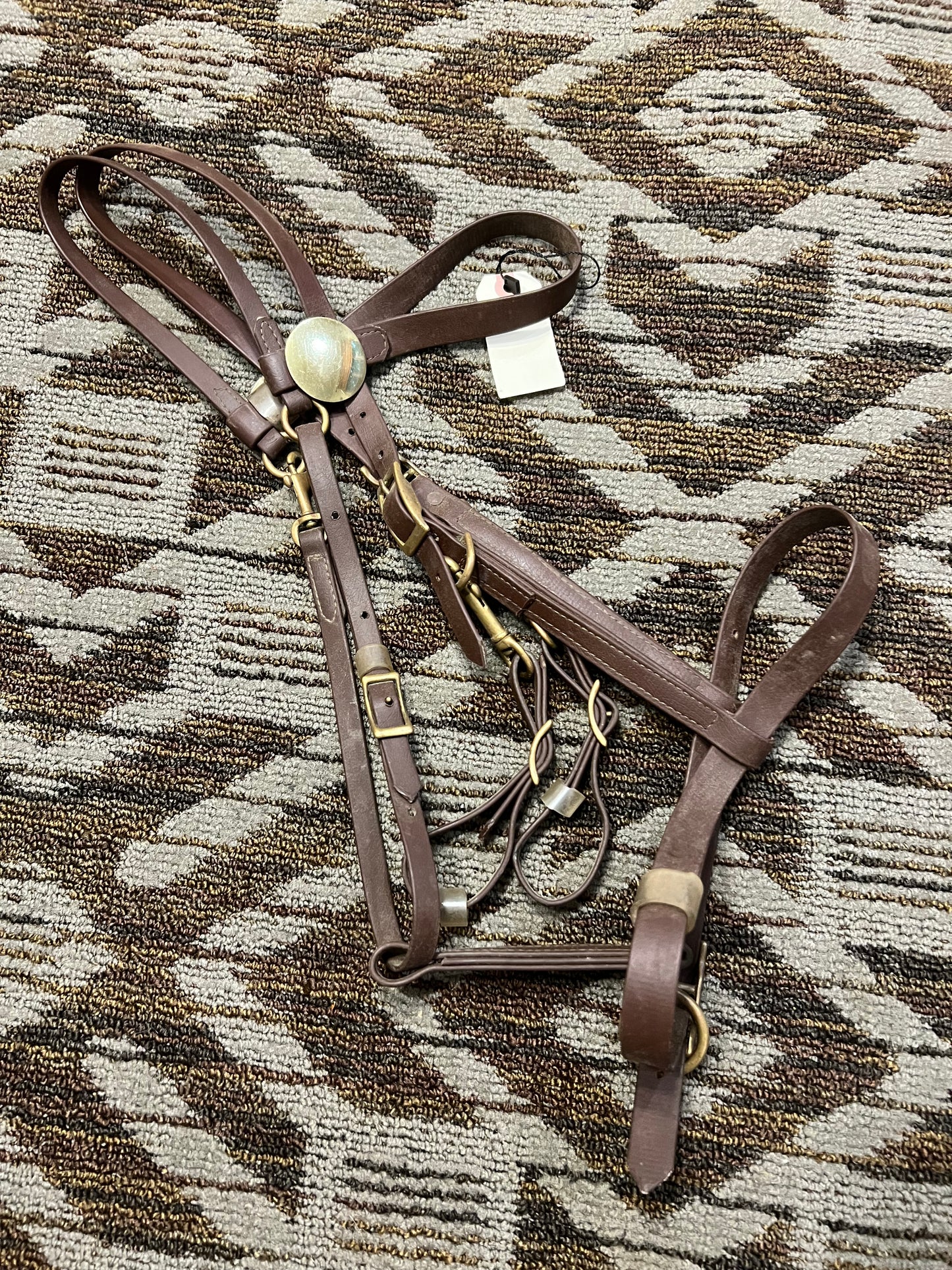 Brown Biothane Halter Bridle