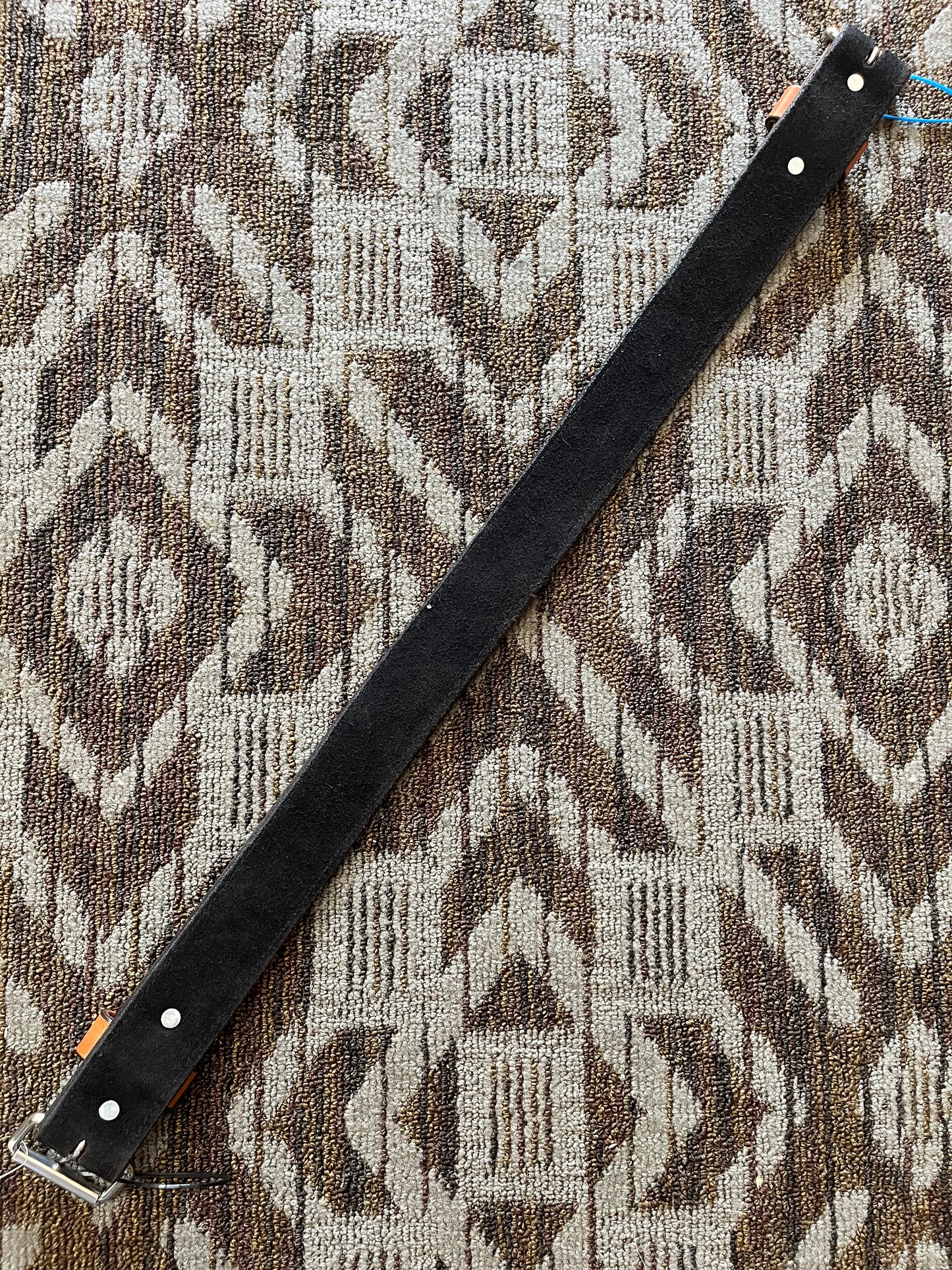 Black & Tan Back Cinch