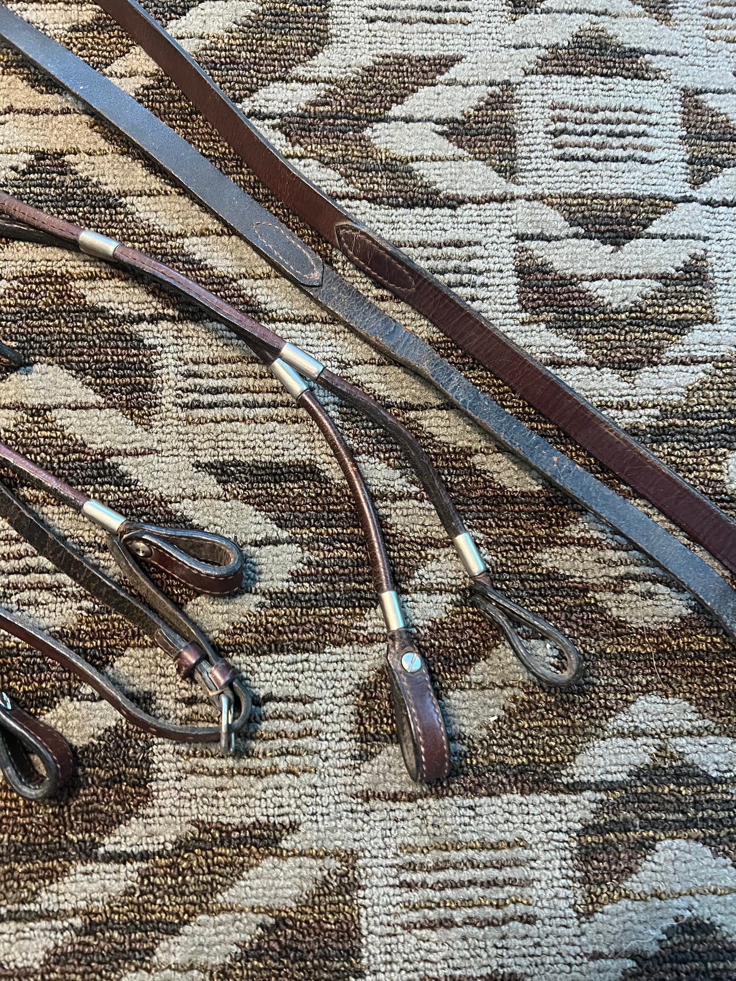 Rolled Silver Show Bridle w/ Matching Reins