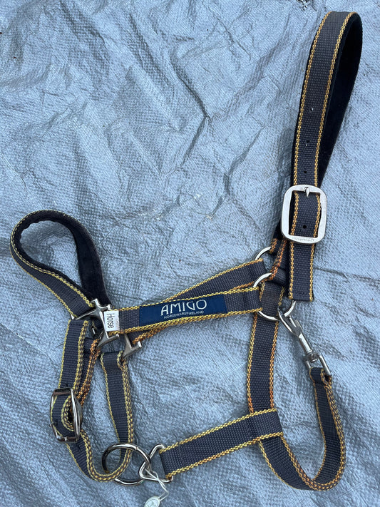 Amigo Halter