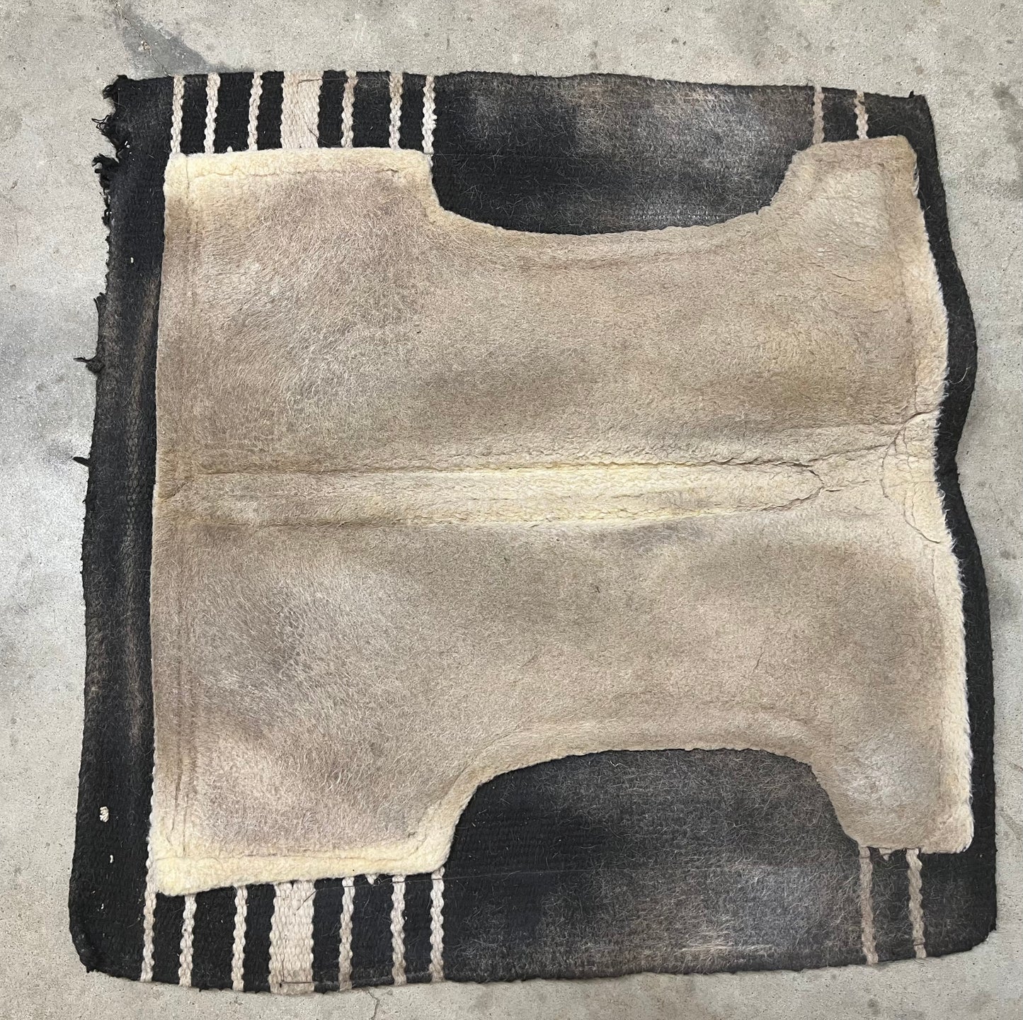 Billy Cook Wool Top Pad