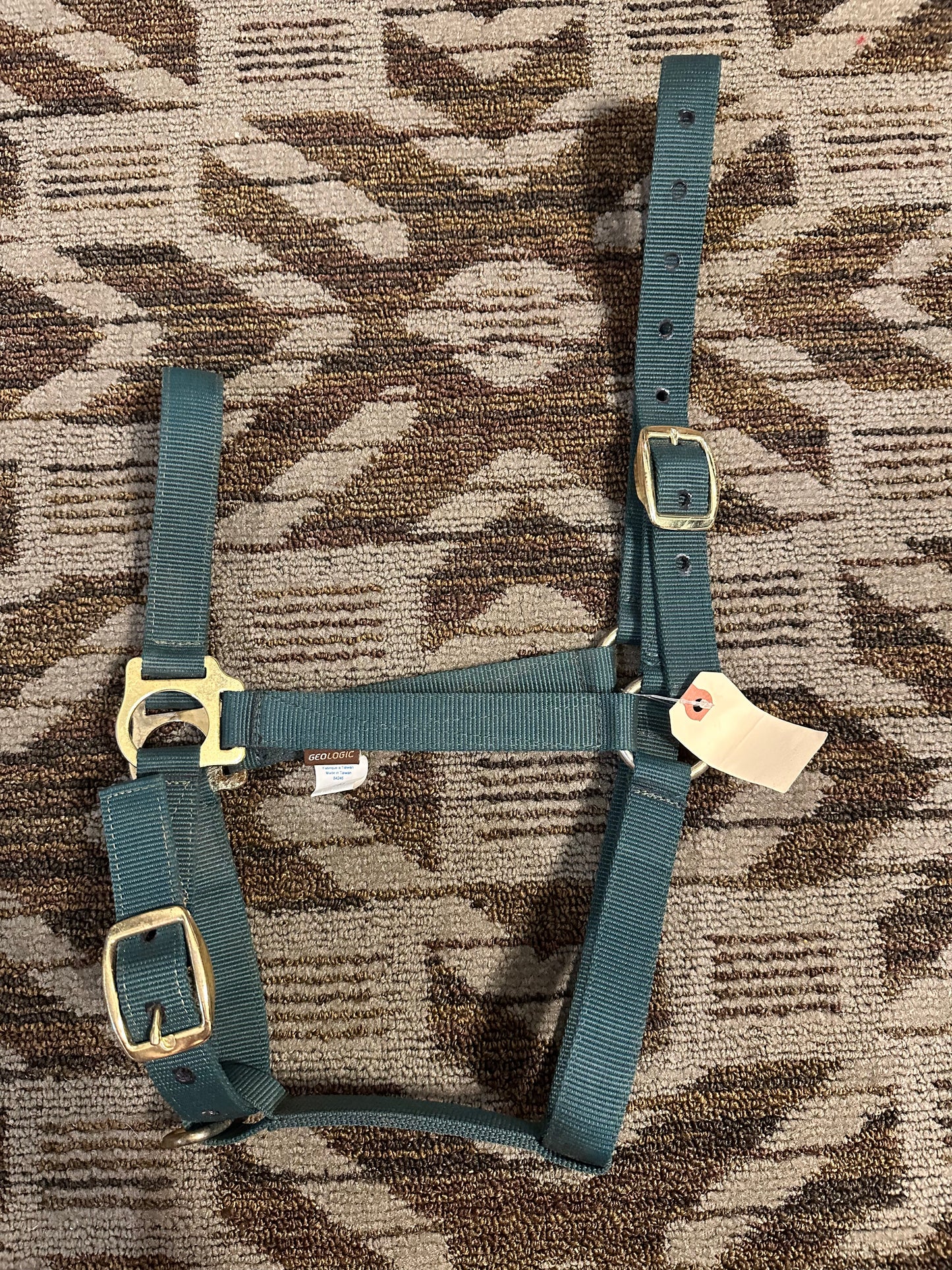 Geologic Halter
