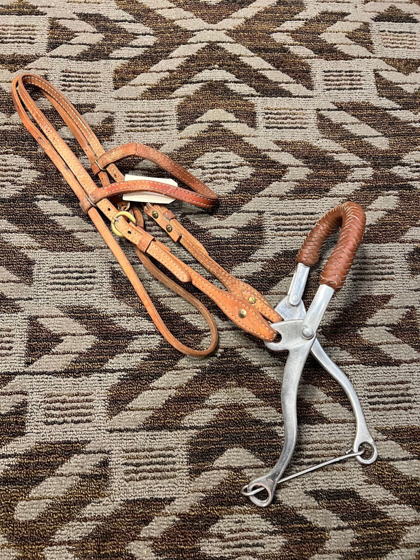 Headstall w/ Hackamore Attachment
