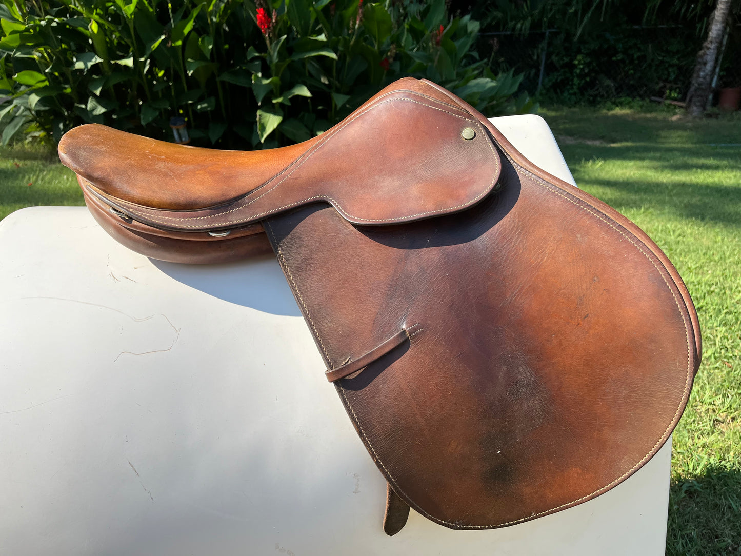 Blue Ribbon Close Contact Saddle