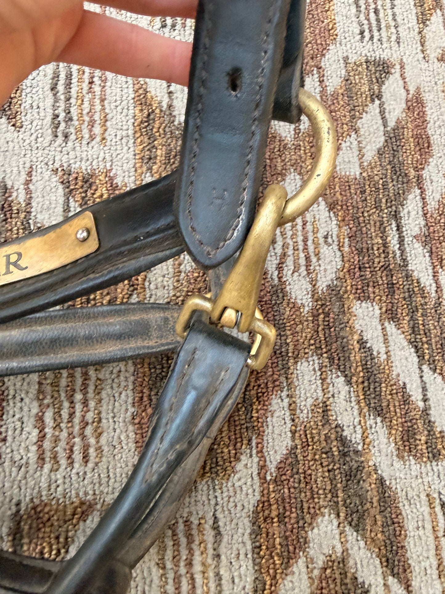 Padded Horse Nameplate Halter