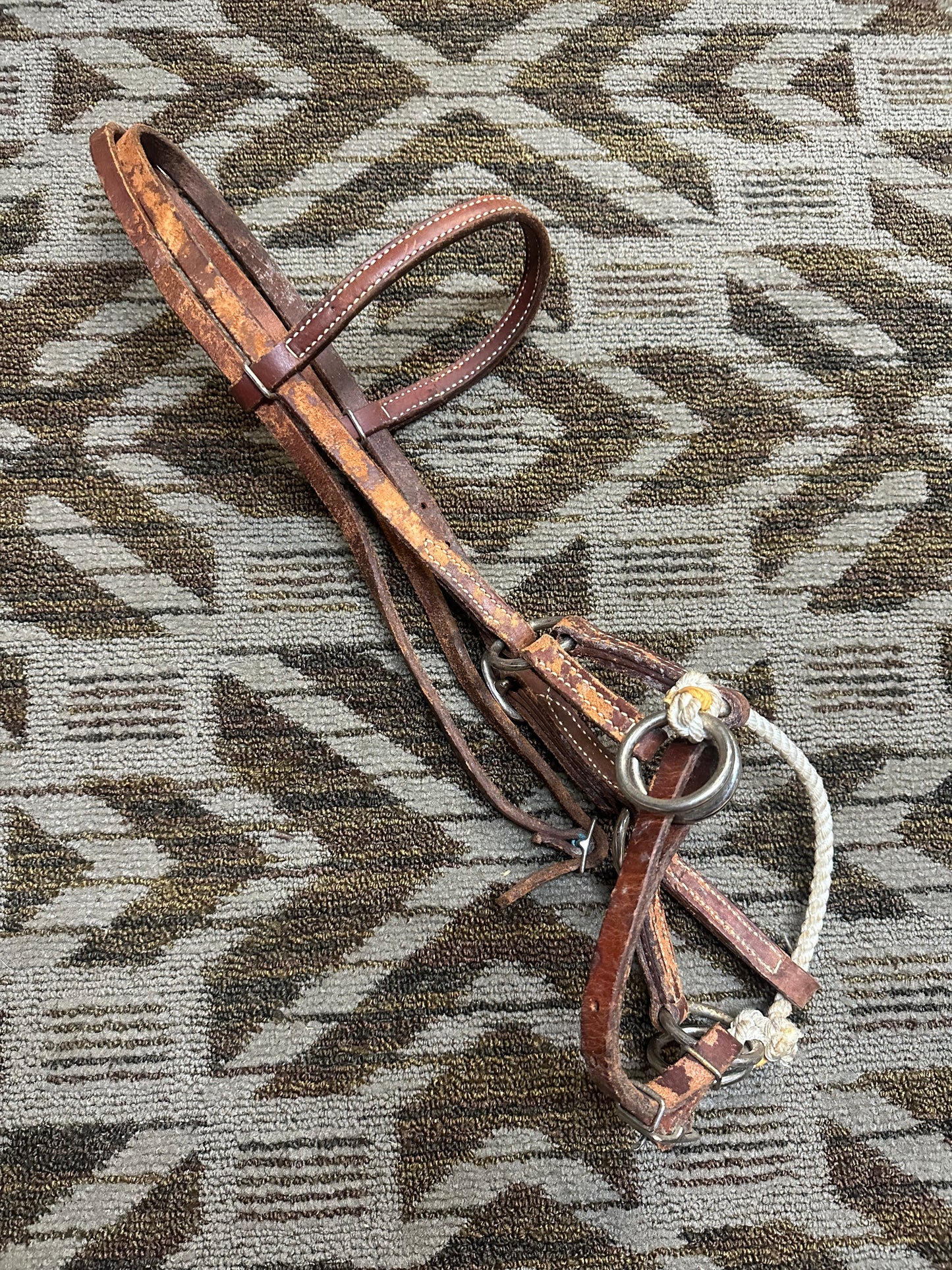 Leather Bitless Bridle