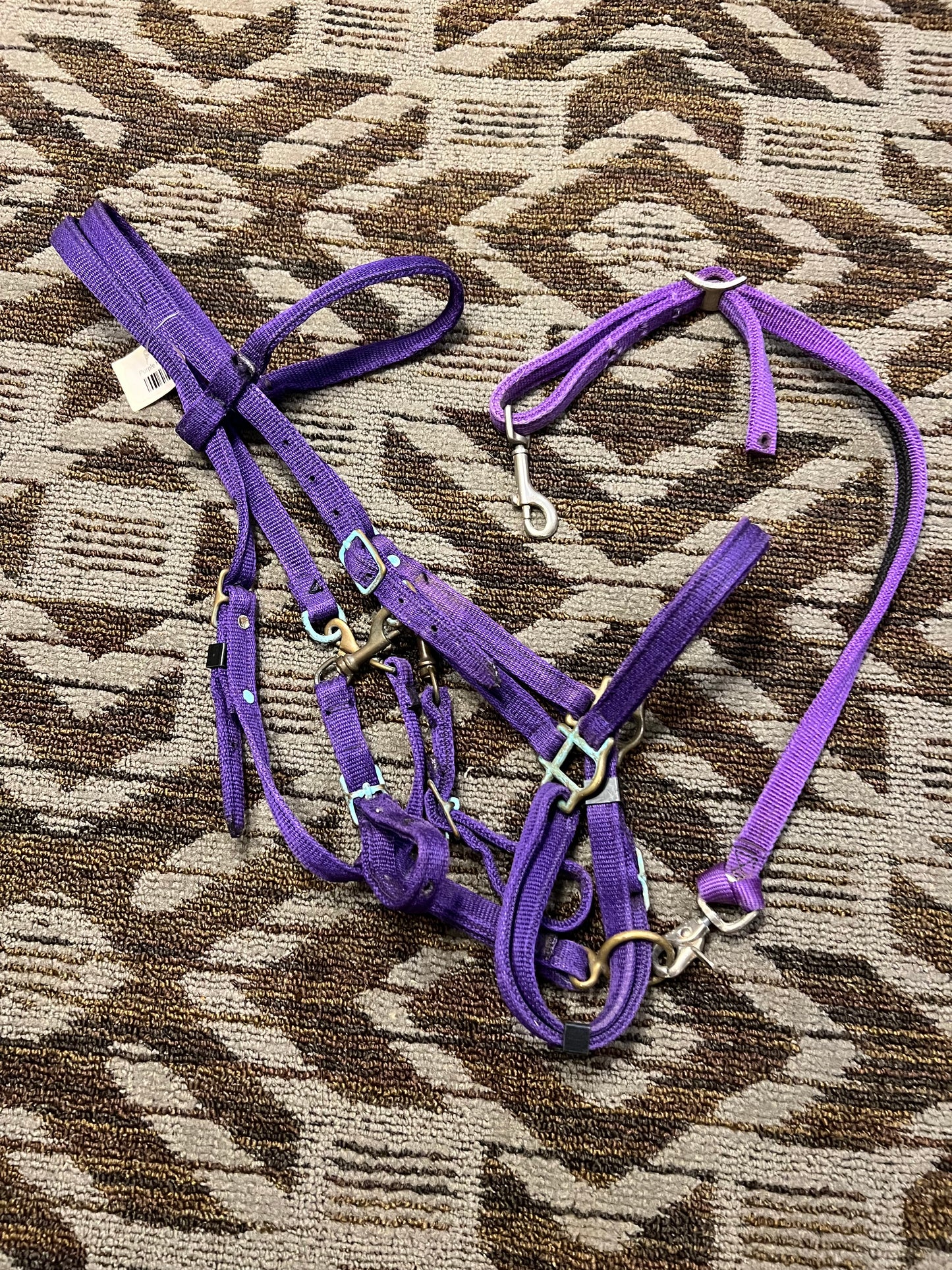 Purple Halter Bridle