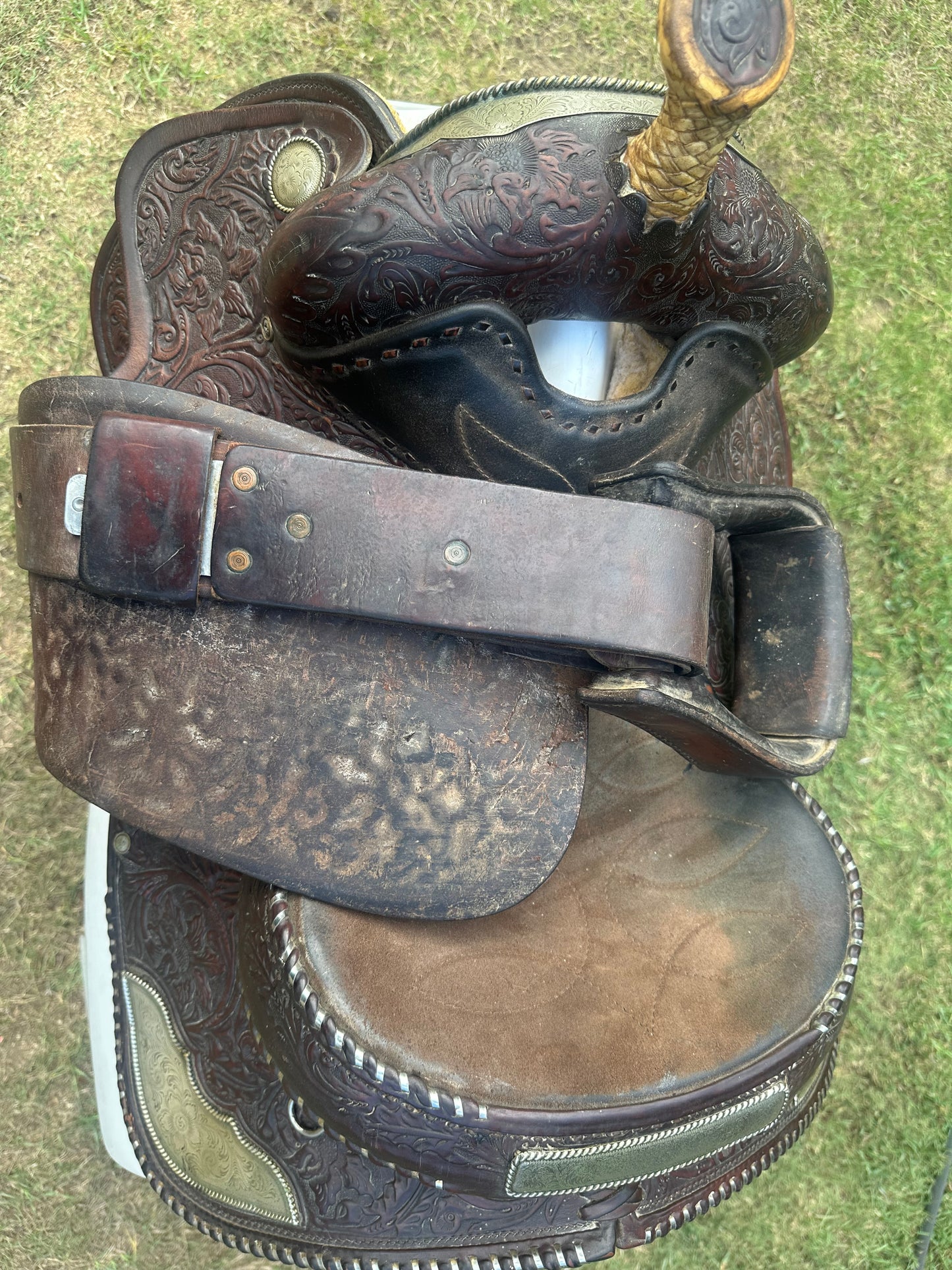 Circle Y Equitation Saddle