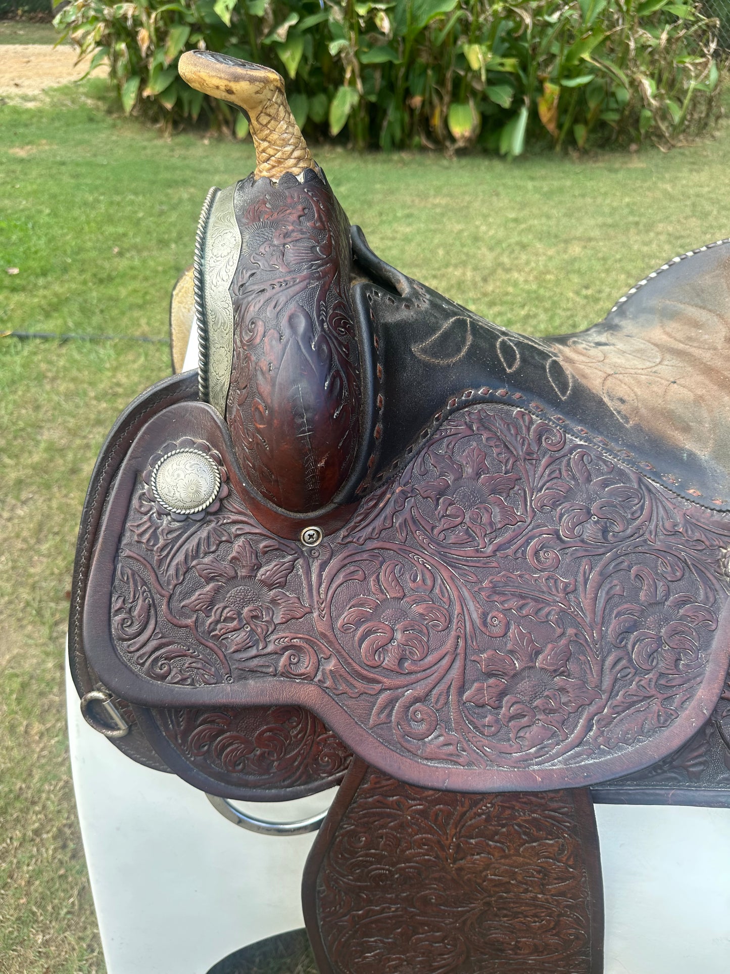 Circle Y Equitation Saddle