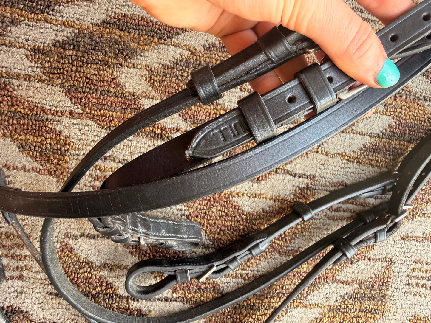 Black Padded Bridle w/ Dropped Noseband
