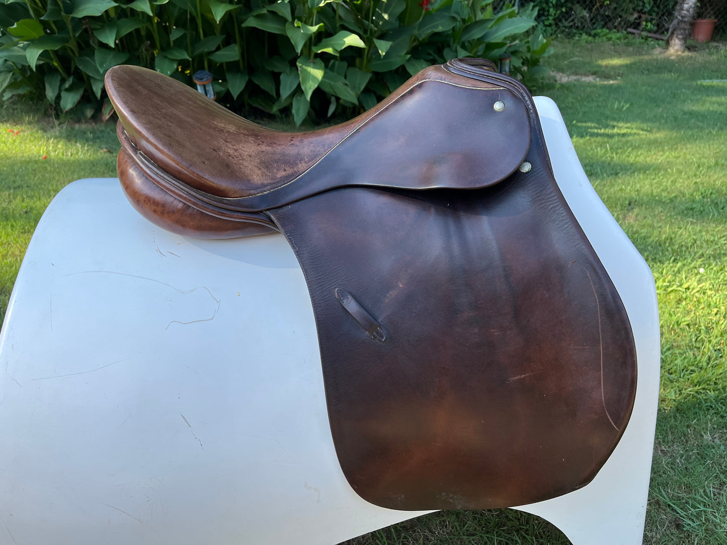 Hannover Dressage Saddle