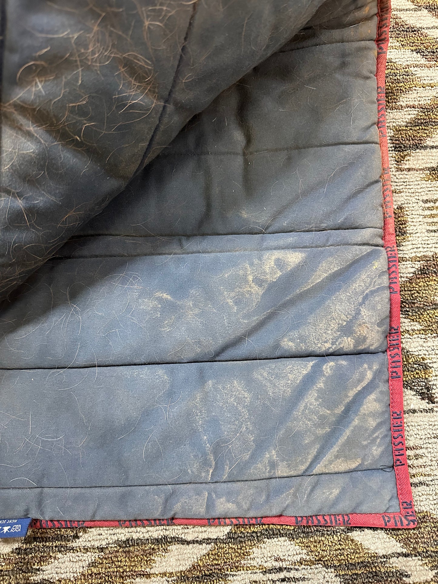 Passier Dressage Pad