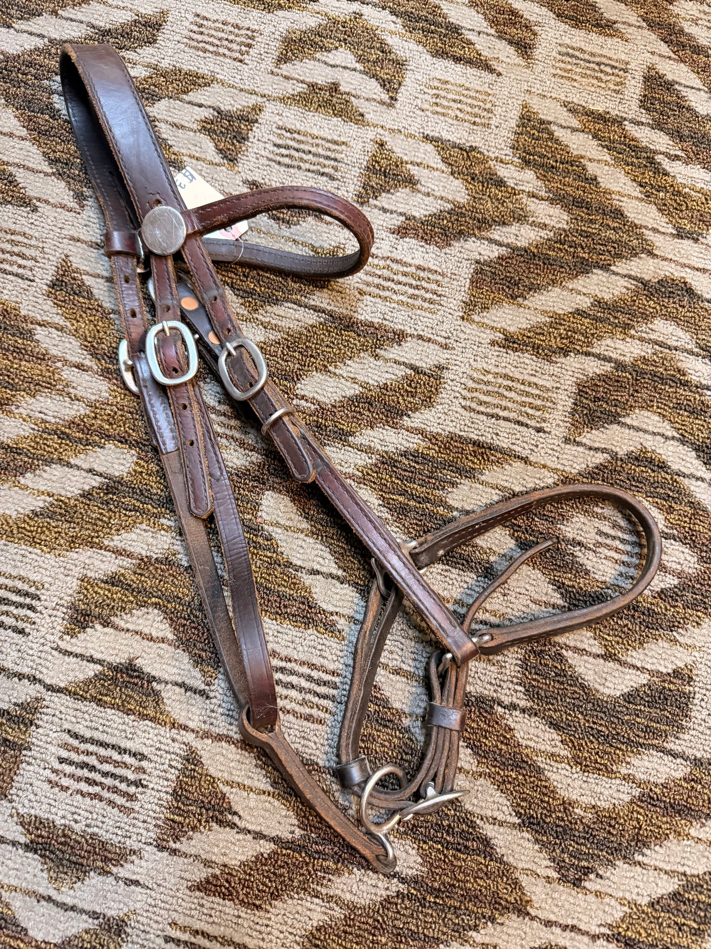 Tucker Halter Bridle