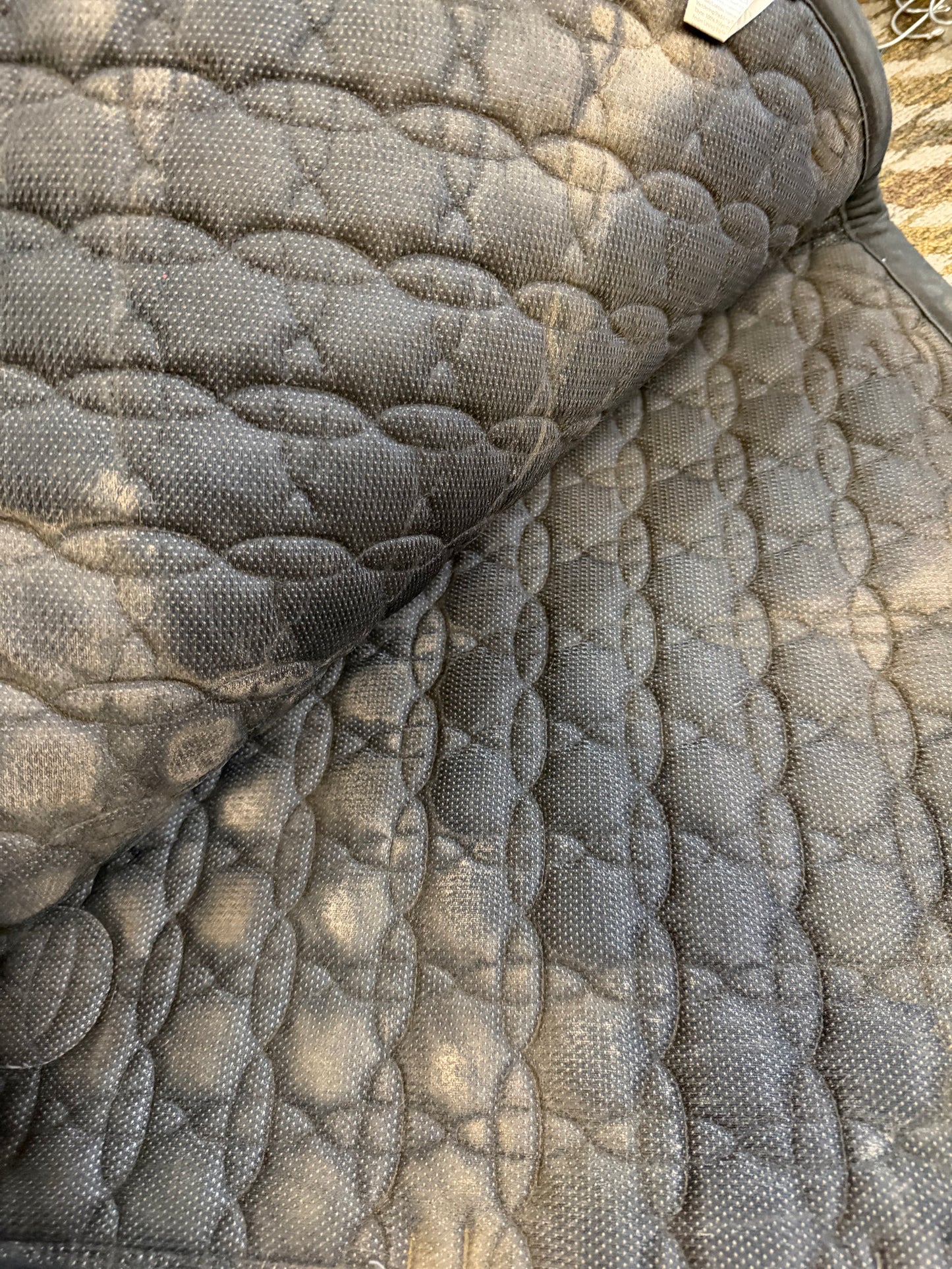 H Collection Dressage Pad