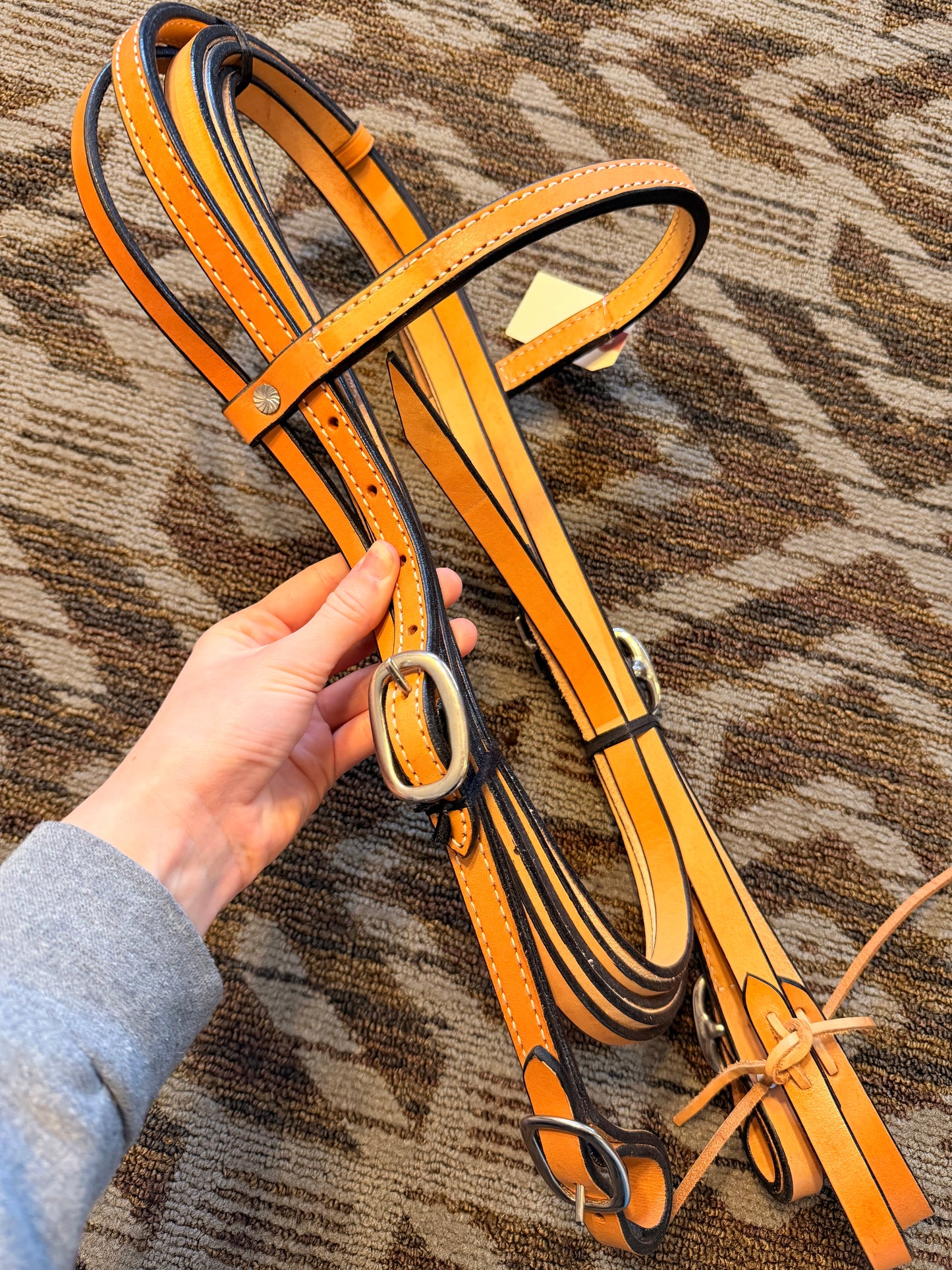 Easy Change Bridle w/ Matching Reins