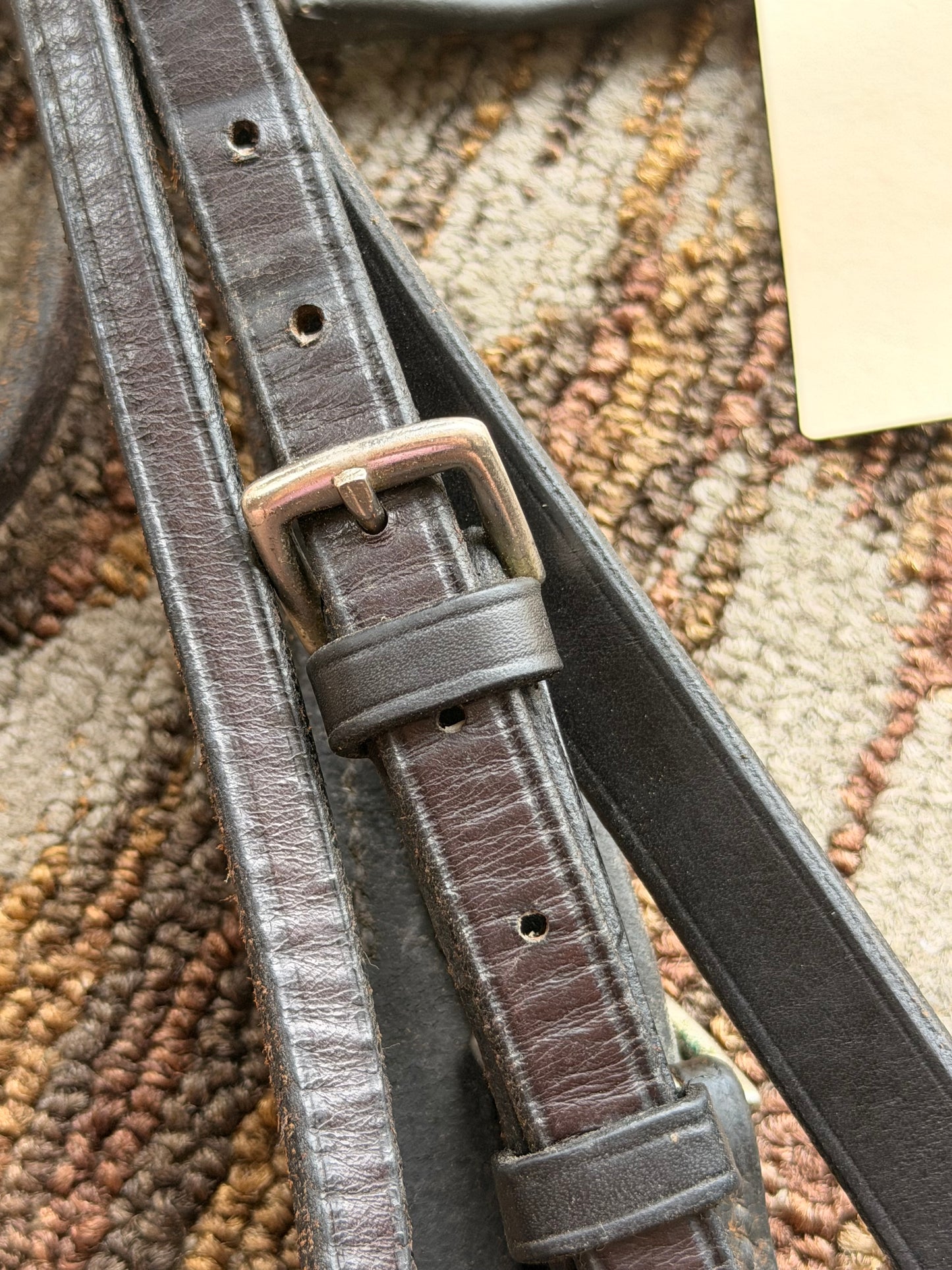 Harmohn Kraft Dressage Bridle