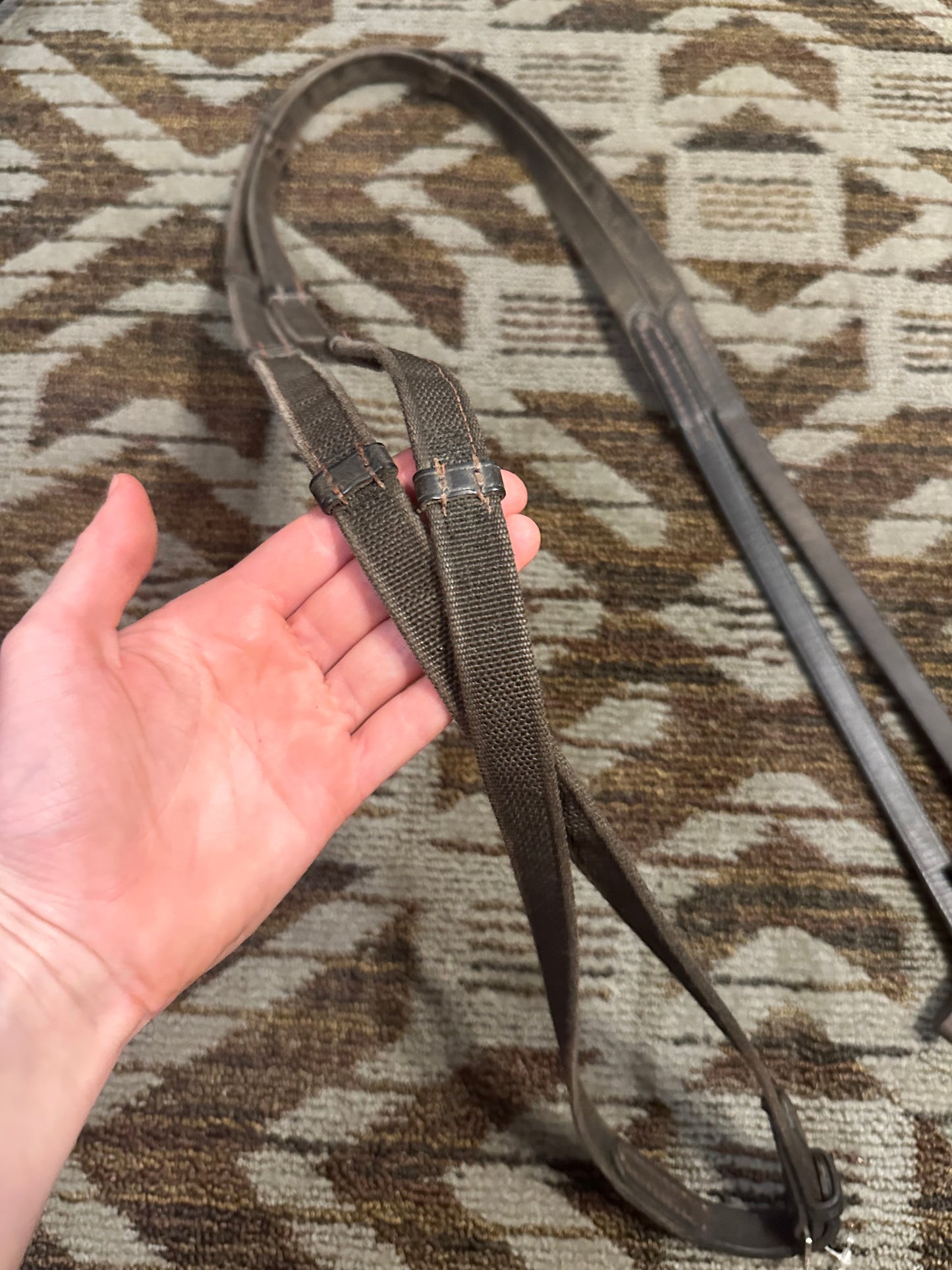 Brown Webbed Reins