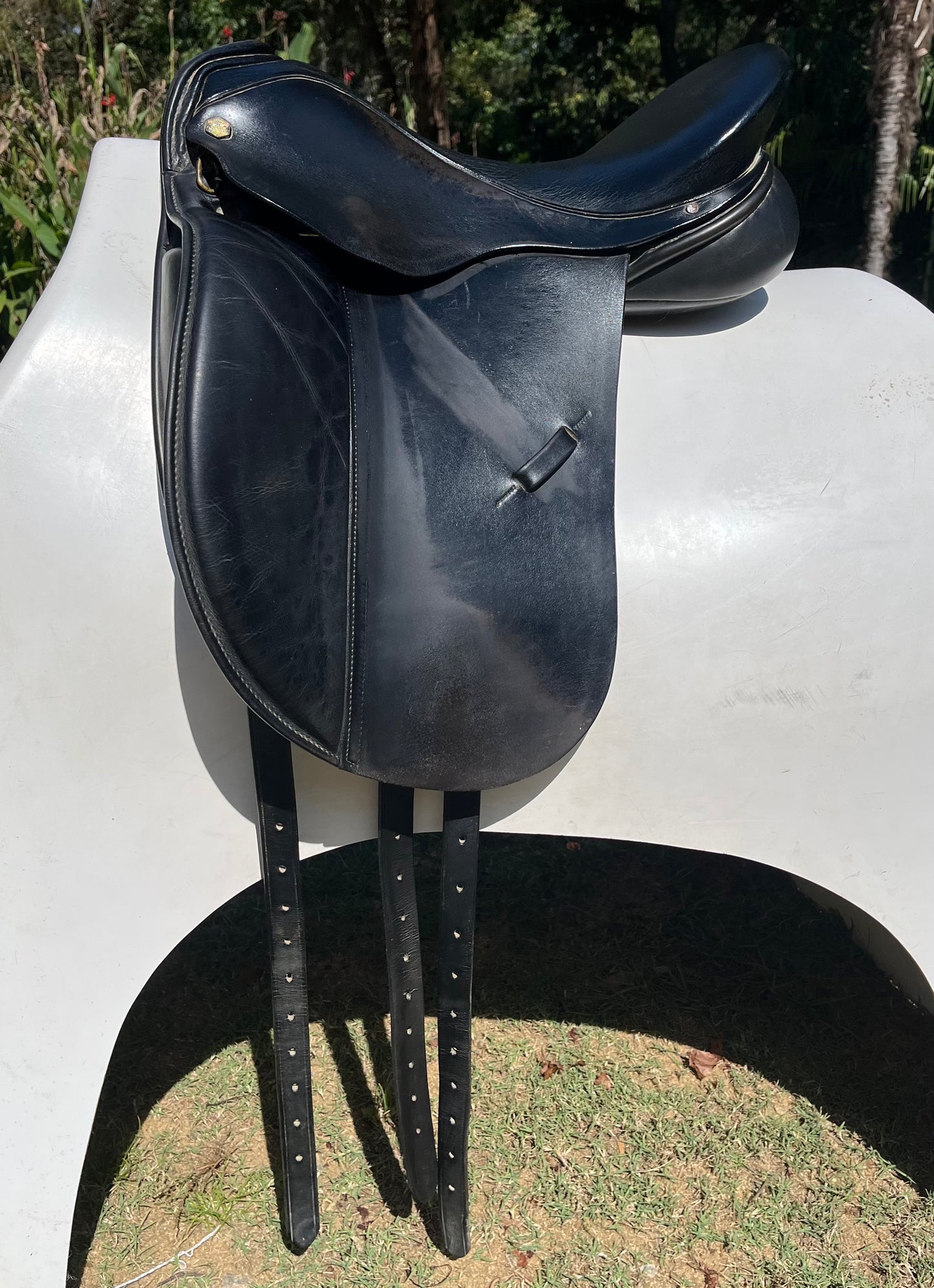 Albion Dressage Saddle
