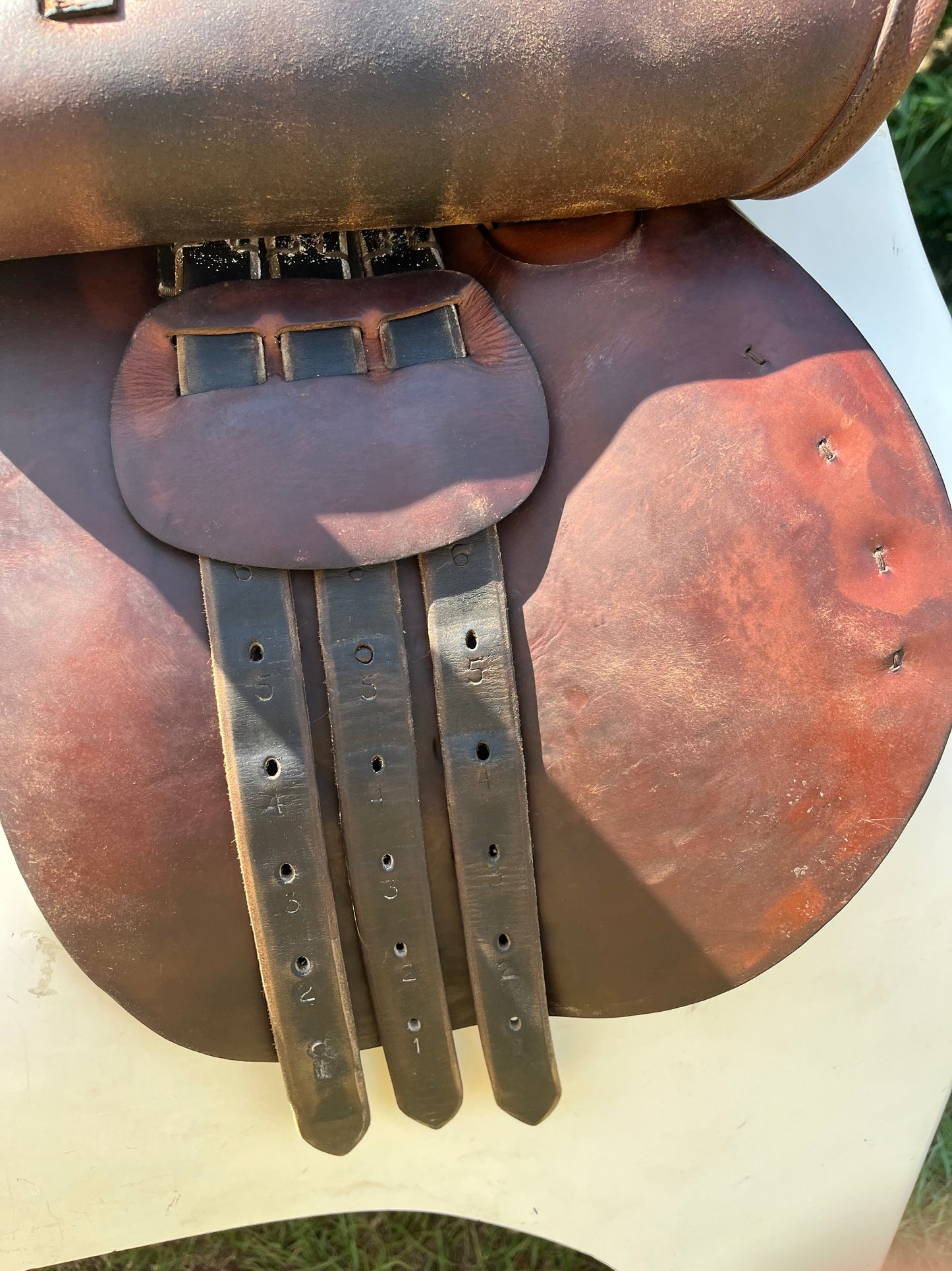 Clinton Northrop Close Contact Saddle