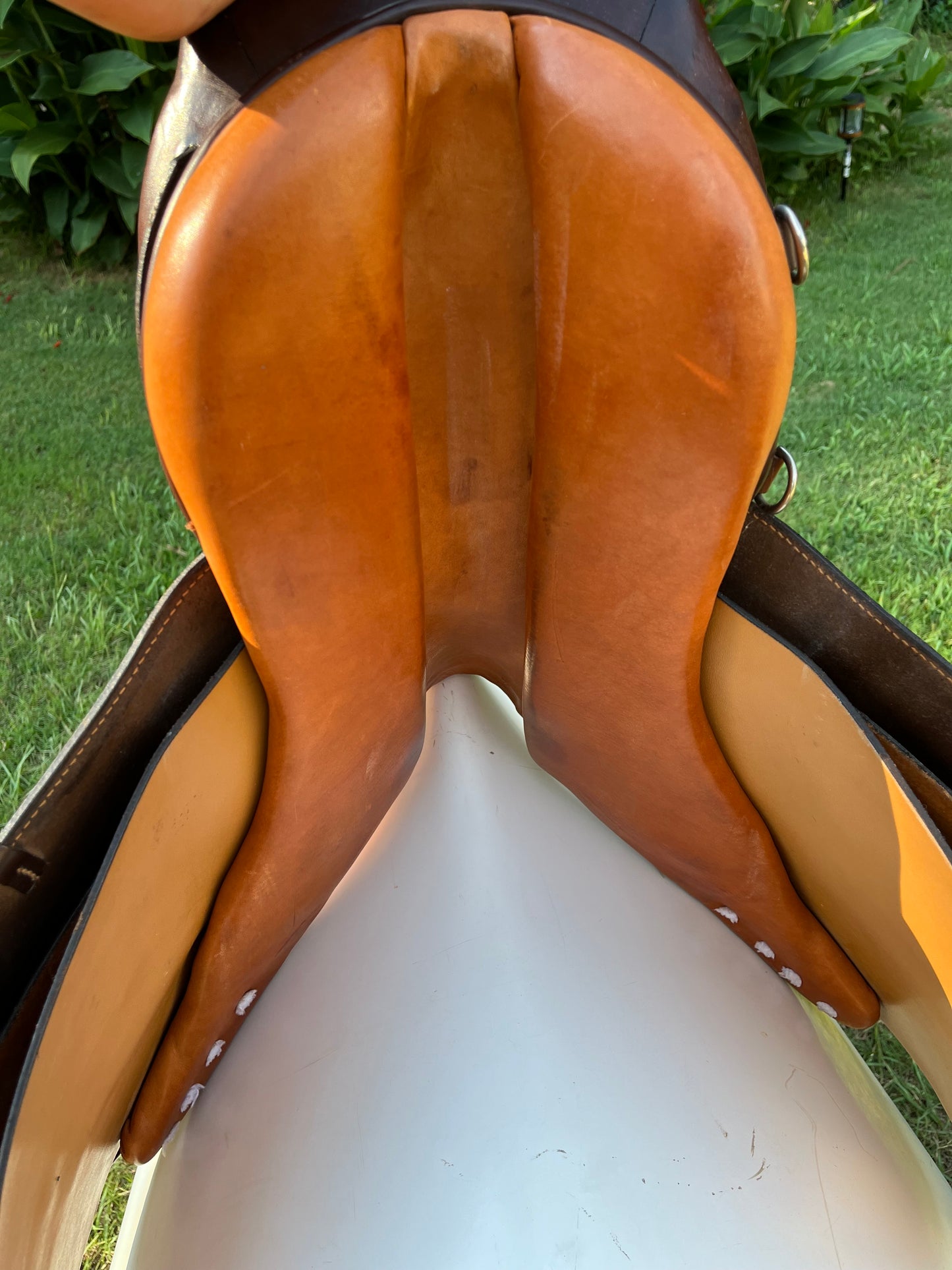 Courbette Close Contact Saddle
