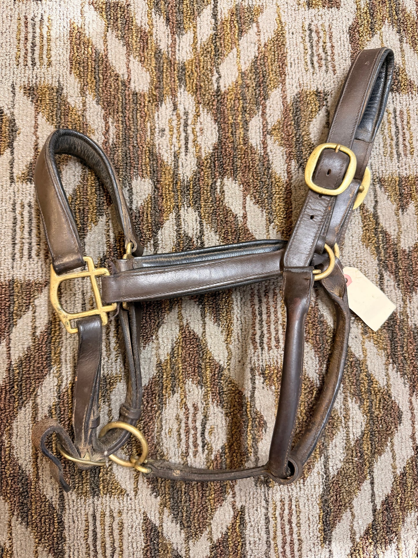 Padded Cob Leather Halter