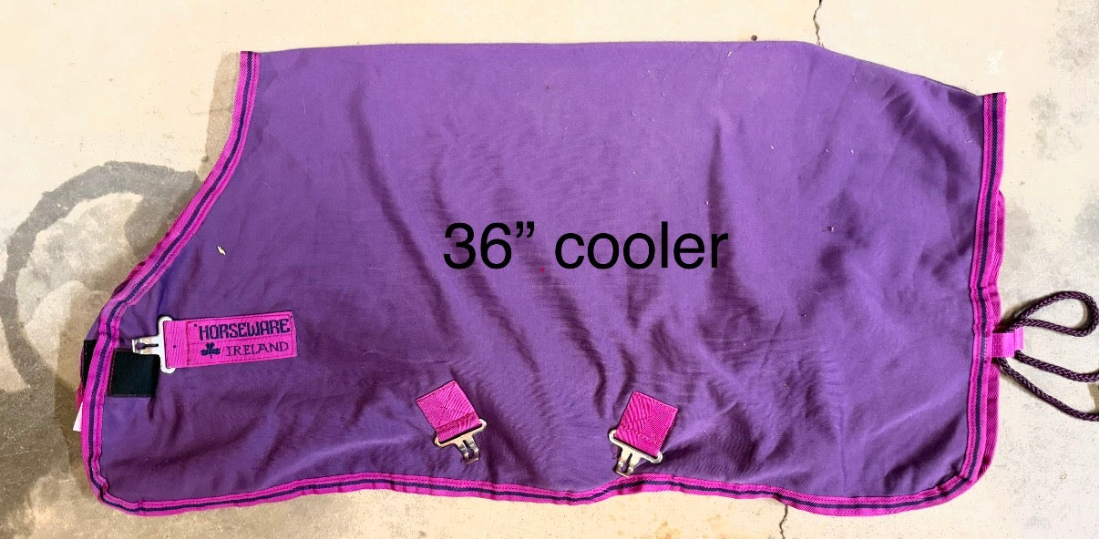 Amigo Cooler - 36”