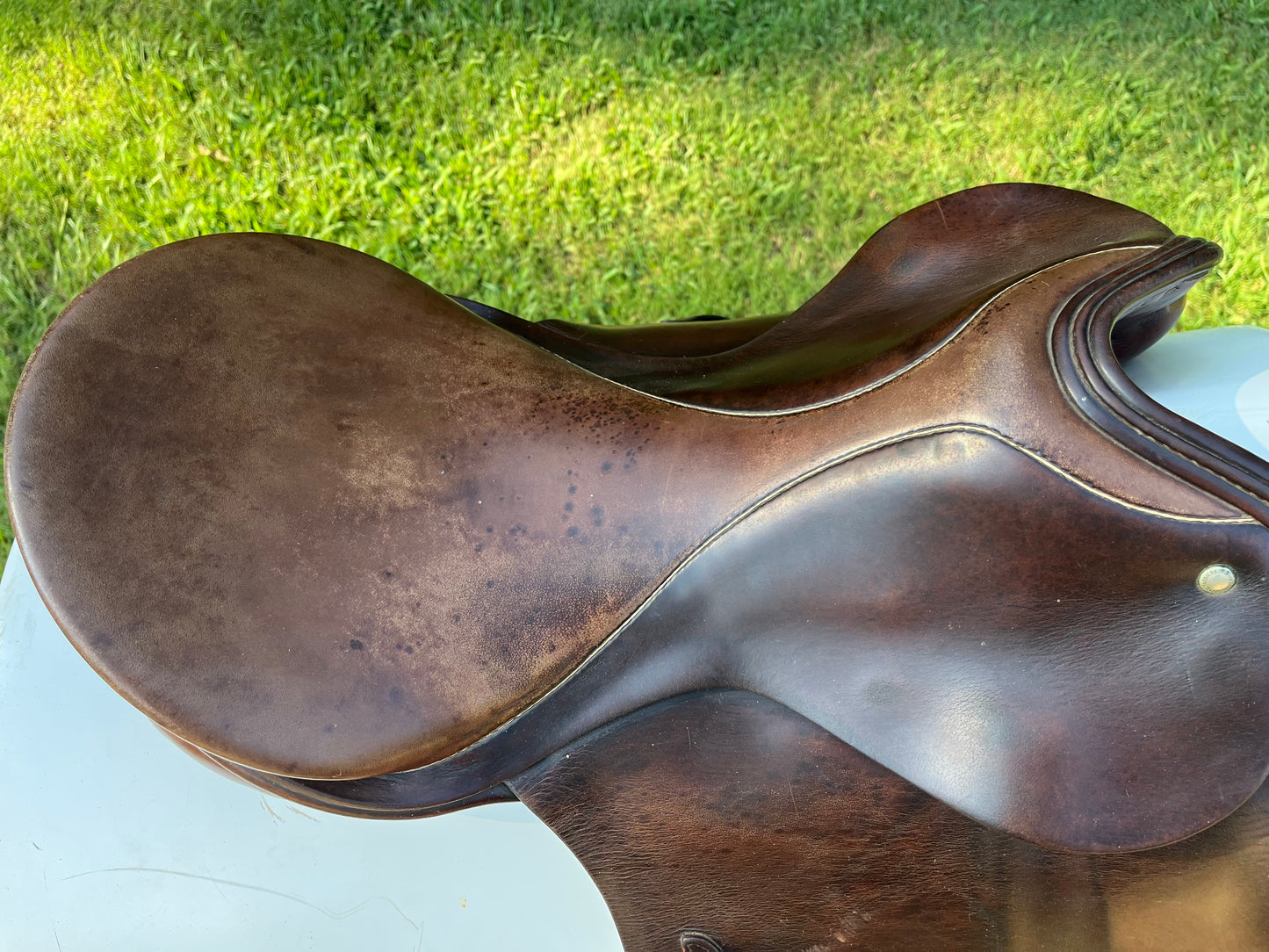 Hannover Dressage Saddle