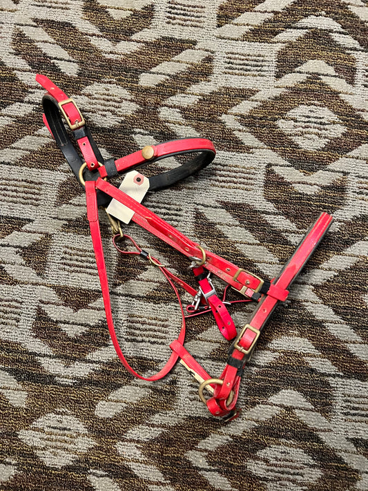 Red Biothane Halter Bridle “The Smart Bridle”