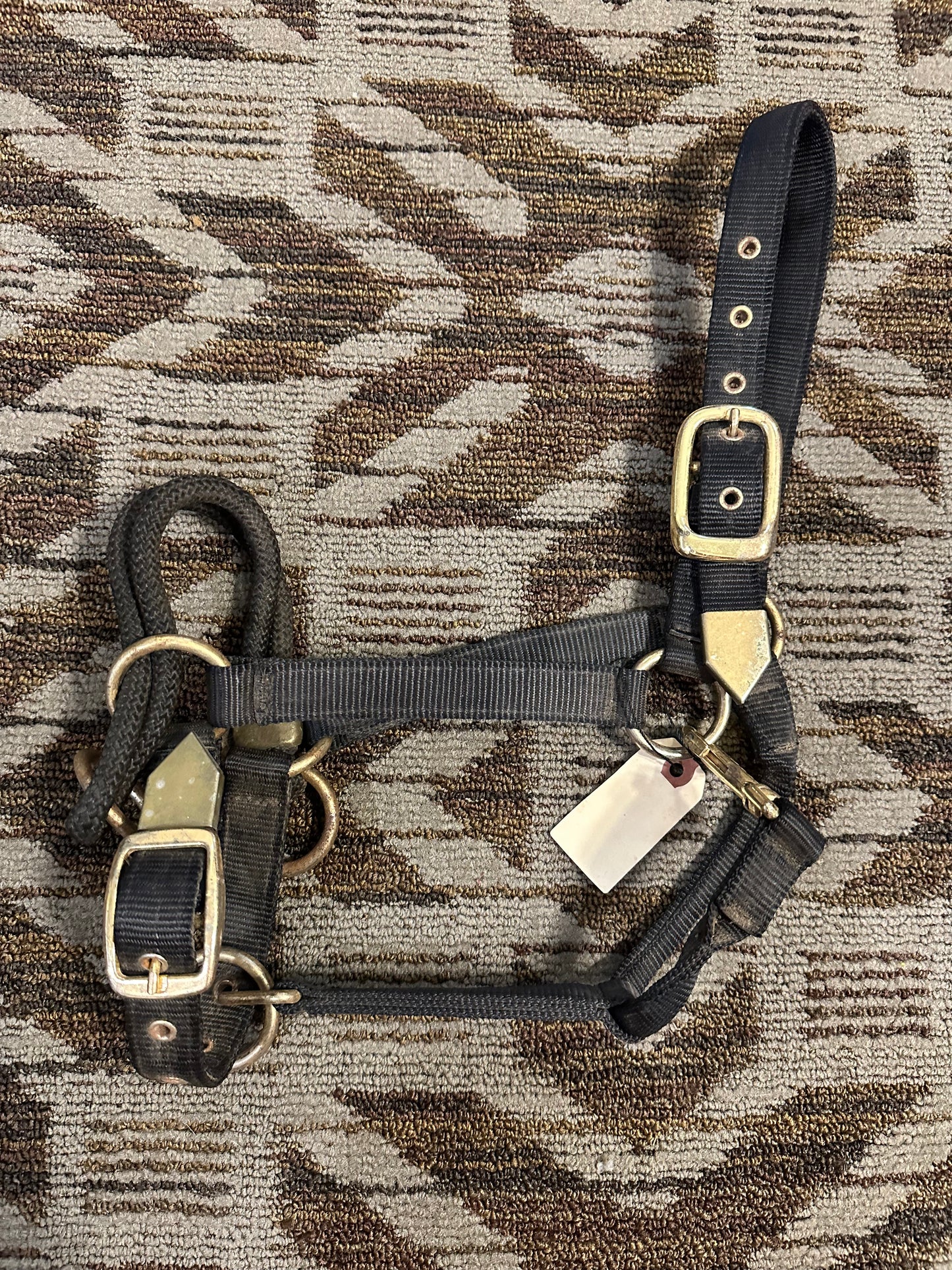 Training Halter