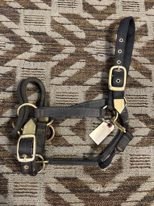 Training Halter