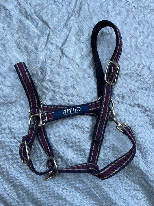 Amigo Purple Halter