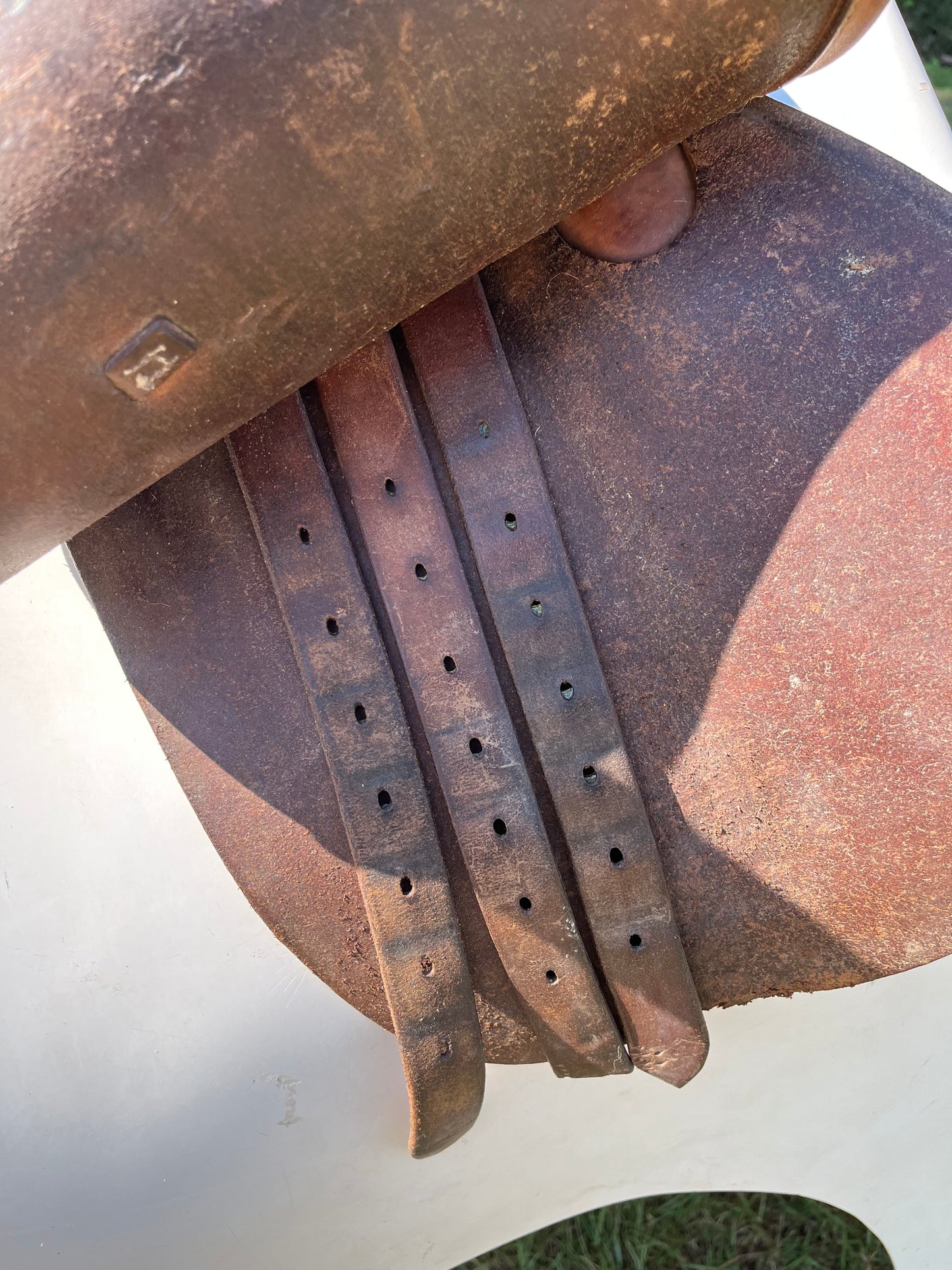 Blue Ribbon Close Contact Saddle