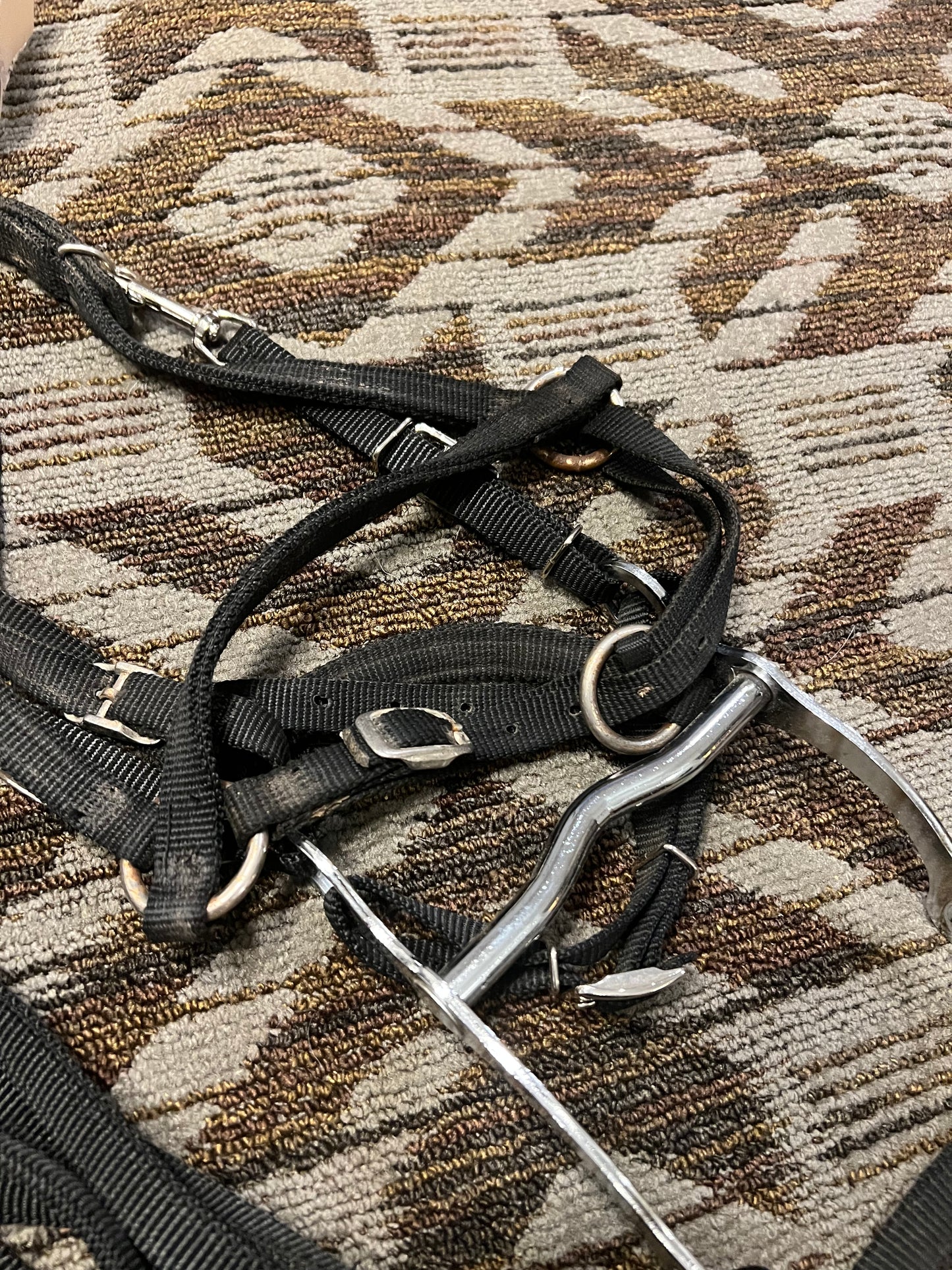 Halter Bridle Set